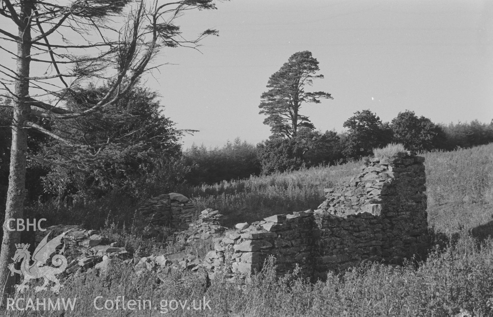 Digital copy of a black and white negative showing ruin in field between Allt Goch farm and Castell Allt Goch. Photographed by Arthur O. Chater in September 1966 looking north from Grid Reference SN 591 499.