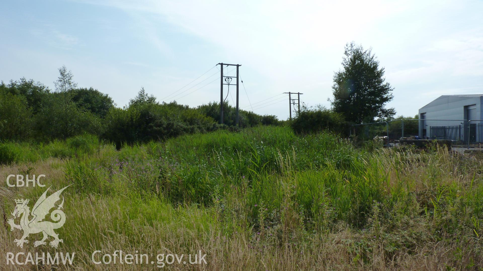 View southwest across southern edge of proposed development site toward Carn Coch, not visible beyond undergrowth. Photographed for Setting Impact Assessment of land near Garngoch Business Village, Swansea, by Archaeology Wales, 2018. Project number P2631.