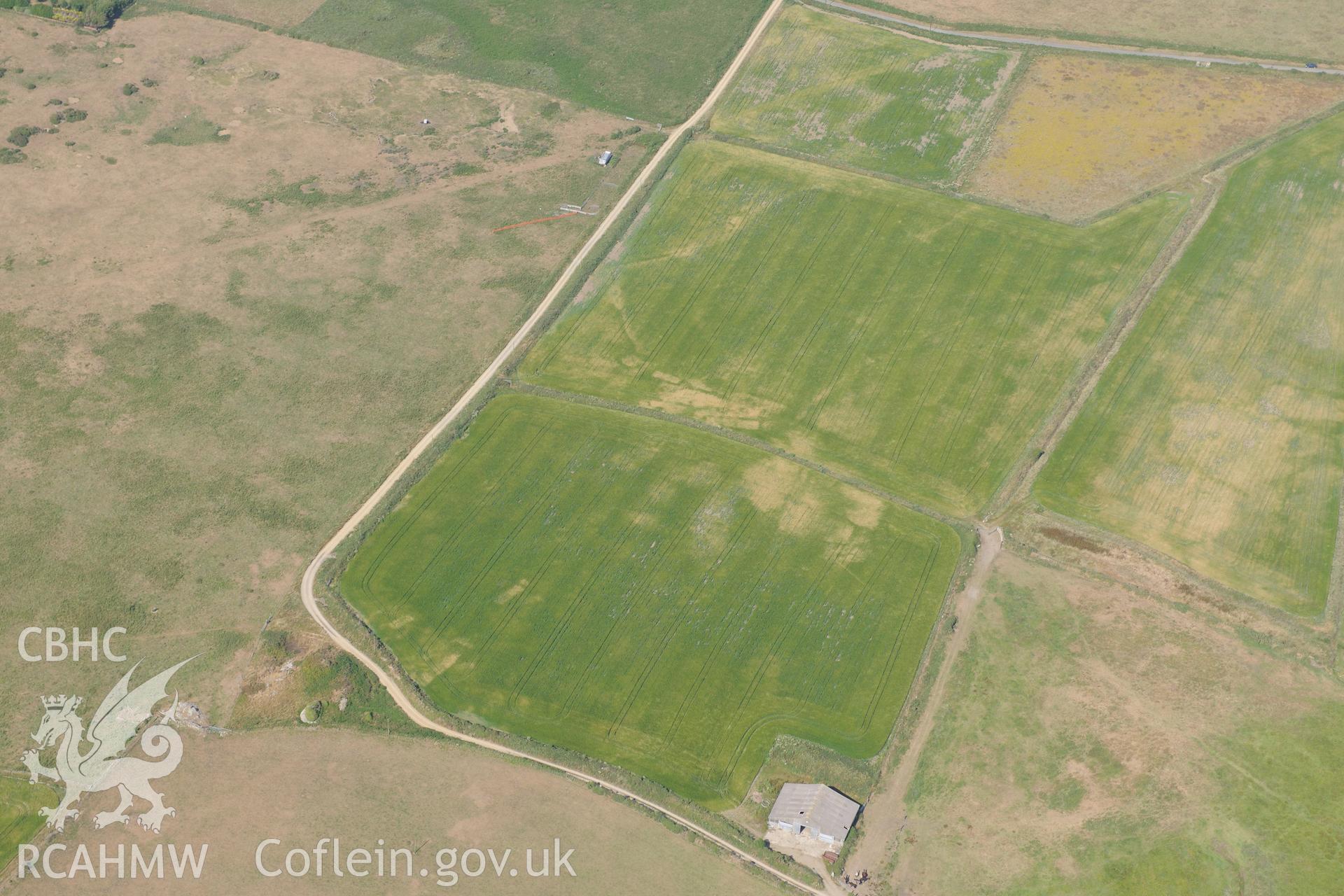 Parchmarks of possible township at Croes Phillip, St Davids. Oblique aerial photograph taken during the Royal Commission?s programme of archaeological aerial reconnaissance by Toby Driver on 16th July 2013.