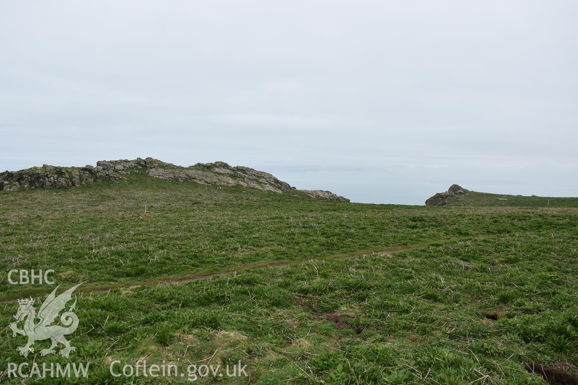 Skomer Island cairn group 1. Field survey 19 April 2018. General view of cairn cemetery and northern outcrop with low vegetation, with ranging rods marking cairns B and C