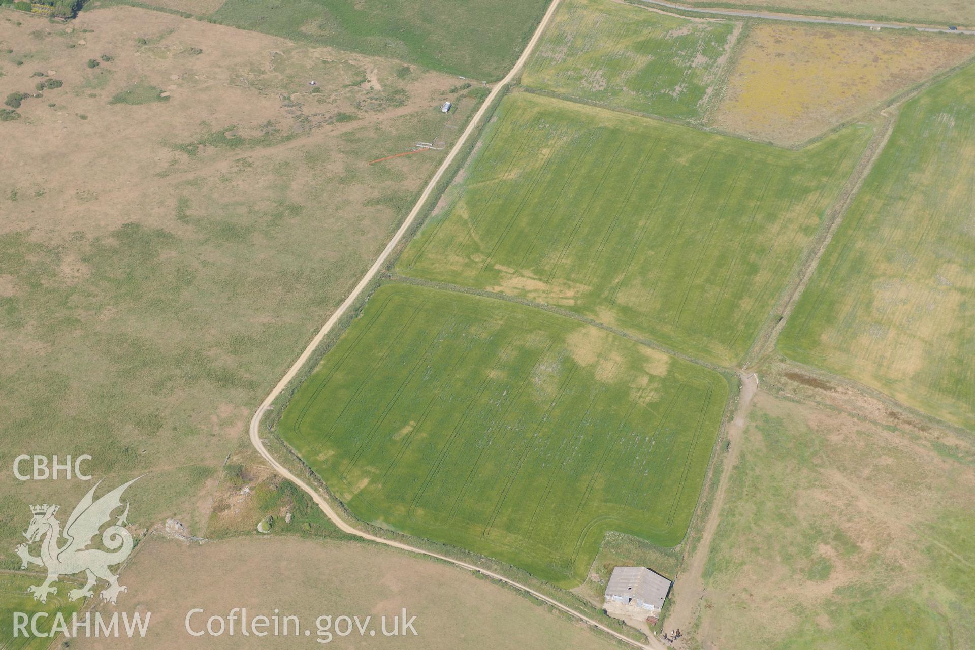 Parchmarks of possible township at Croes Phillip, St Davids. Oblique aerial photograph taken during the Royal Commission?s programme of archaeological aerial reconnaissance by Toby Driver on 16th July 2013.