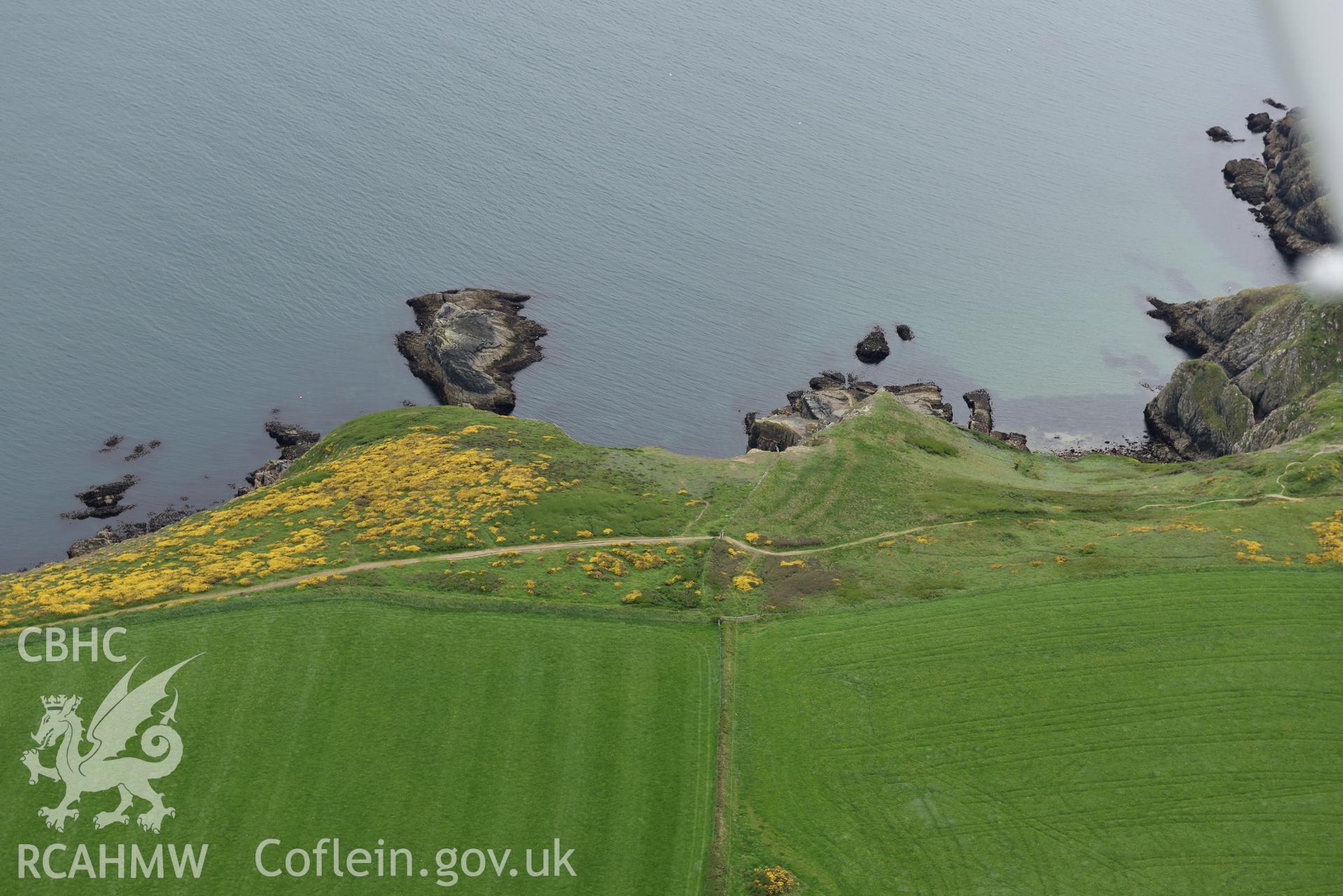 St Elvis, Solva, boundary bank. Baseline aerial reconnaissance survey for the CHERISH Project. ? Crown: CHERISH PROJECT 2017. Produced with EU funds through the Ireland Wales Co-operation Programme 2014-2020. All material made freely available through the Open Government Licence.