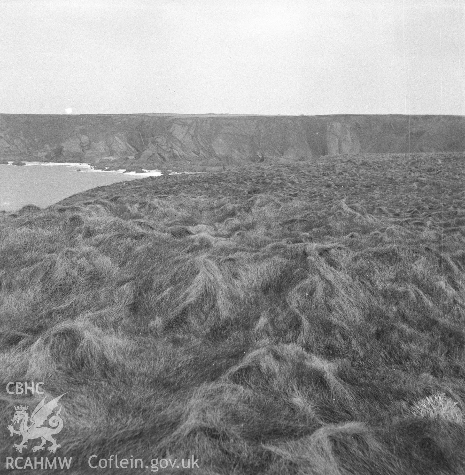 Digital copy of an acetate negative showing "Marloes, Gateholm Island", 15th April 1957.