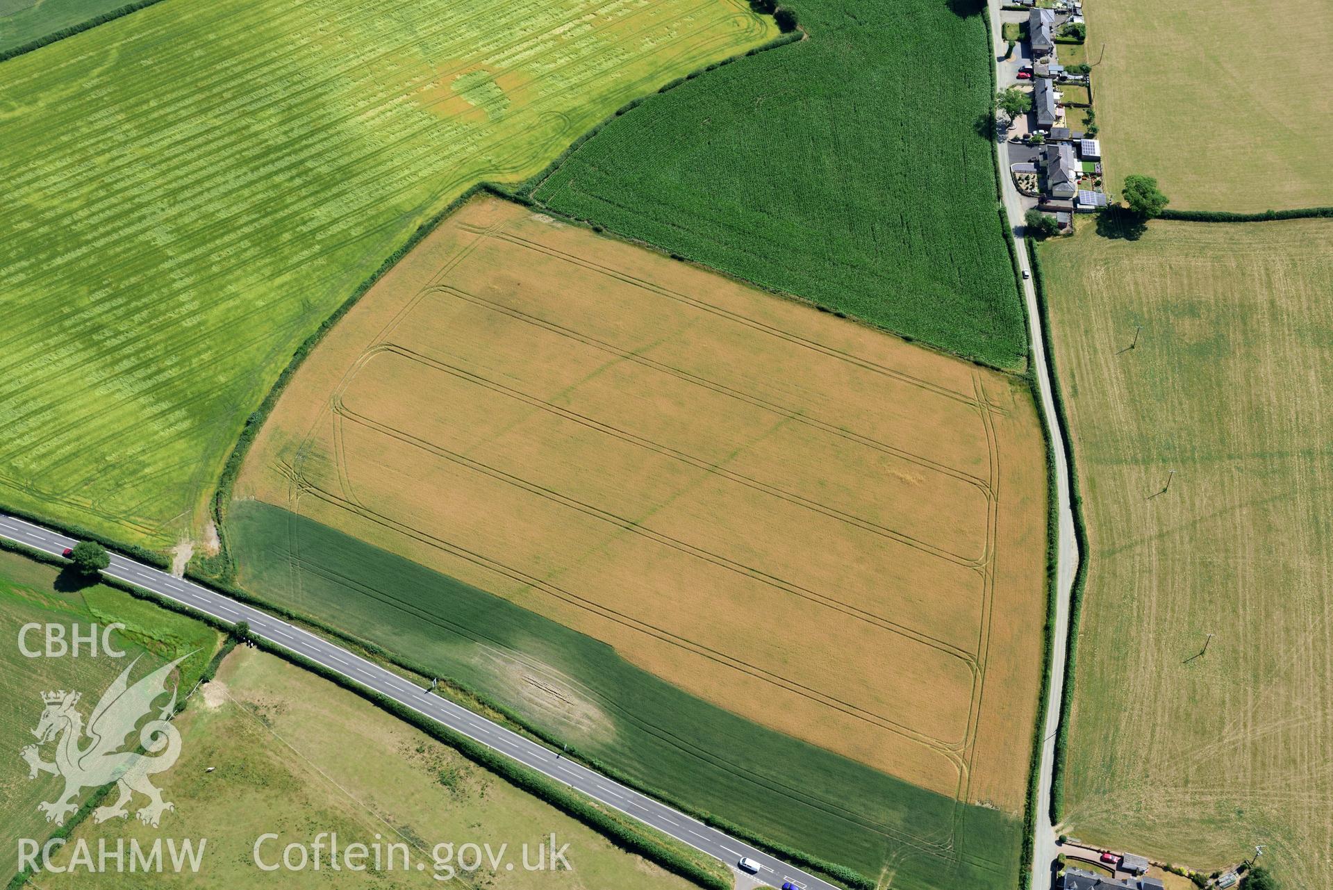 Royal Commission aerial photography of cropmarks of Lower Luggy Cursus taken on 19th July 2018 during the 2018 drought.