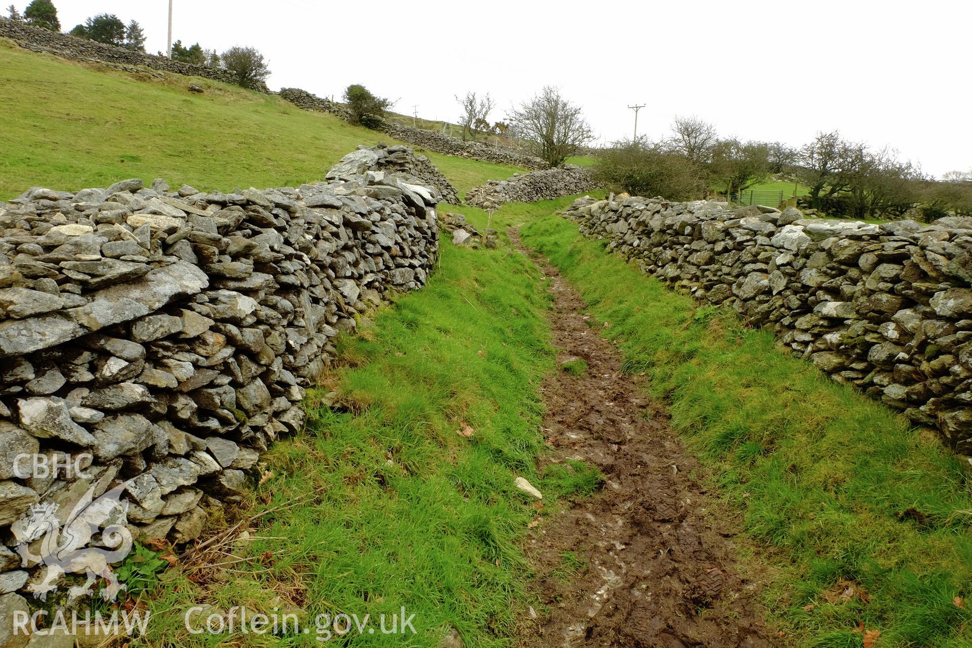 Colour photograph showing view looking north east at the path between Pen Hafodlas and Hafodlas Uchaf, Cilgwyn, produced by Richard Hayman 7th March 2017