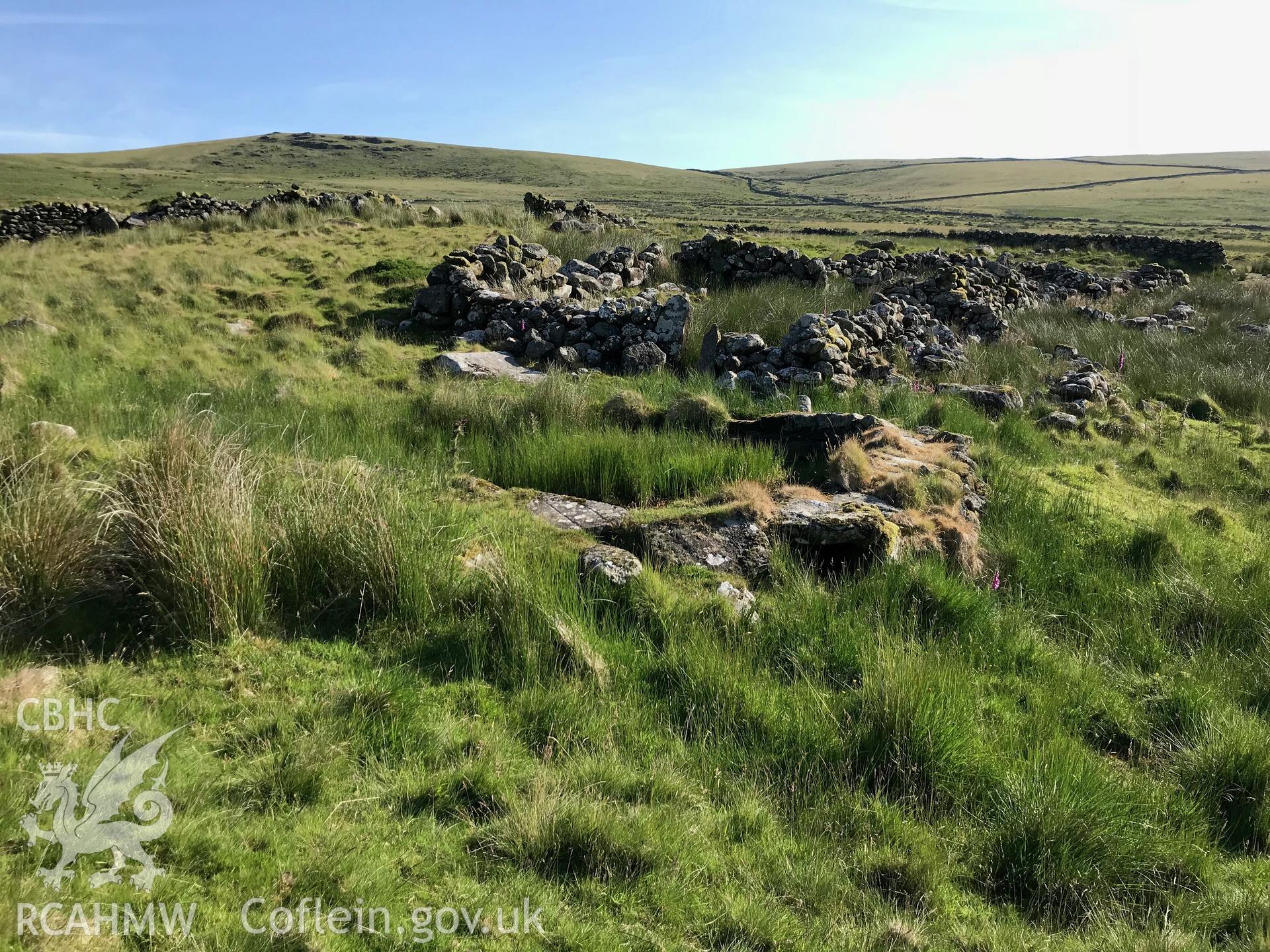 Colour photo showing sheepfolds north of Cwm Cilio, Llanaelhaearn, taken by Paul R. Davis, 24th June 2018.