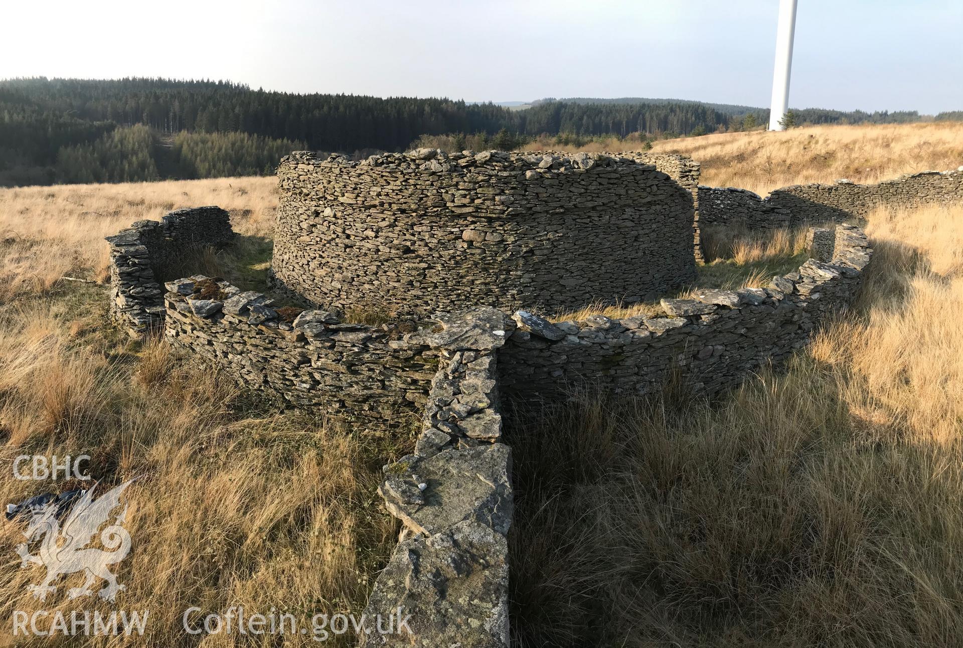 Digital colour photograph of Blaen Pelena possible cattle or sheepfold, Pelenna, east of Neath, taken by Paul R. Davis on 30th March 2019.