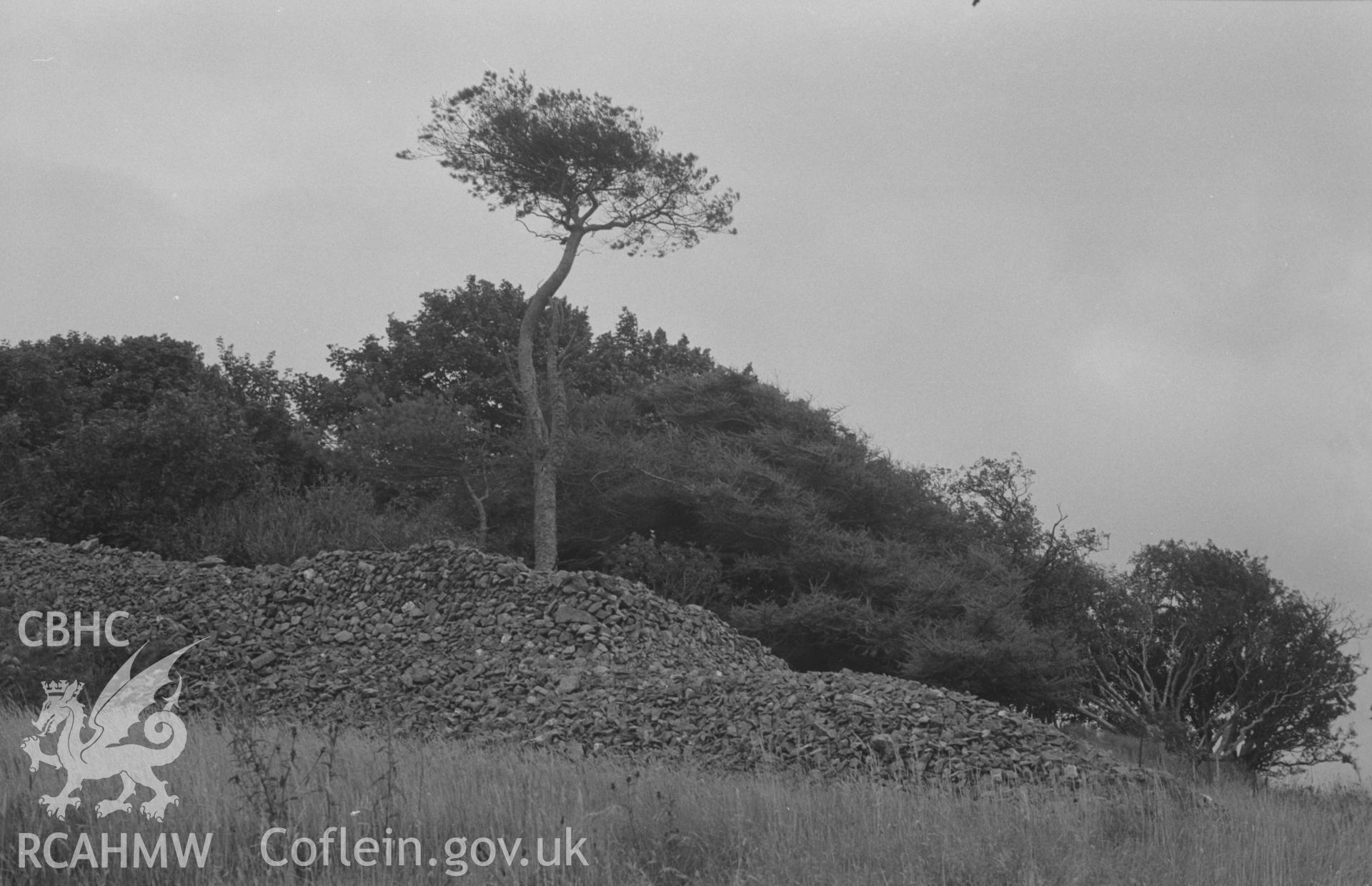 Digital copy of black and white negative showing south west end of Carn Wen's drystone rampart, seen from inside. (Rampart obviously rebuilt - comparatively recently in places). Photograph by Arthur O. Chater, 30 Aug 1967, looking south from SN 396 471.