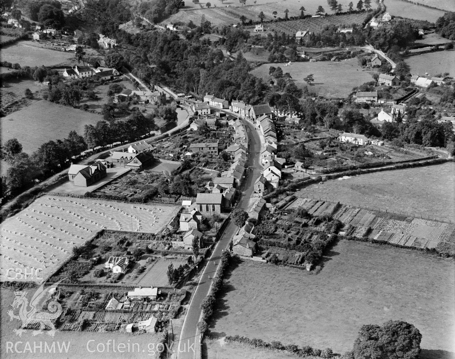 General view of Gilwern, showing allotments and field with haycocks, oblique aerial view. 5?x4? black and white glass plate negative.