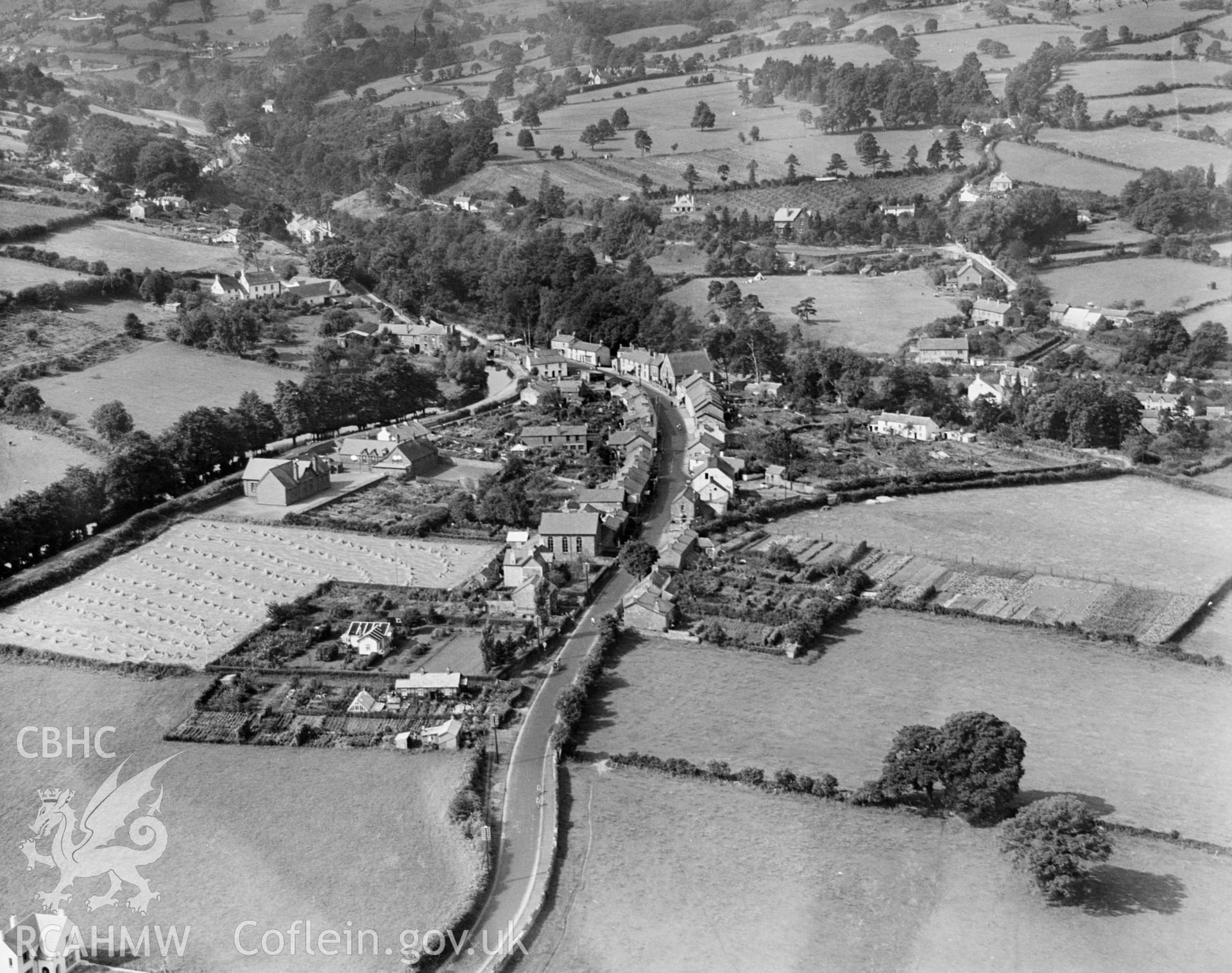General view of Gilwern, showing allotments and field with haycocks, oblique aerial view. 5?x4? black and white glass plate negative.
