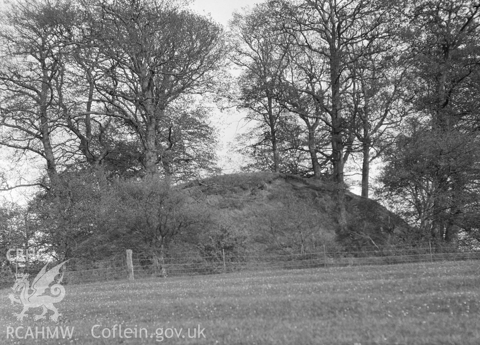 Digital copy of a nitrate negative showing Hygga Dovecot.