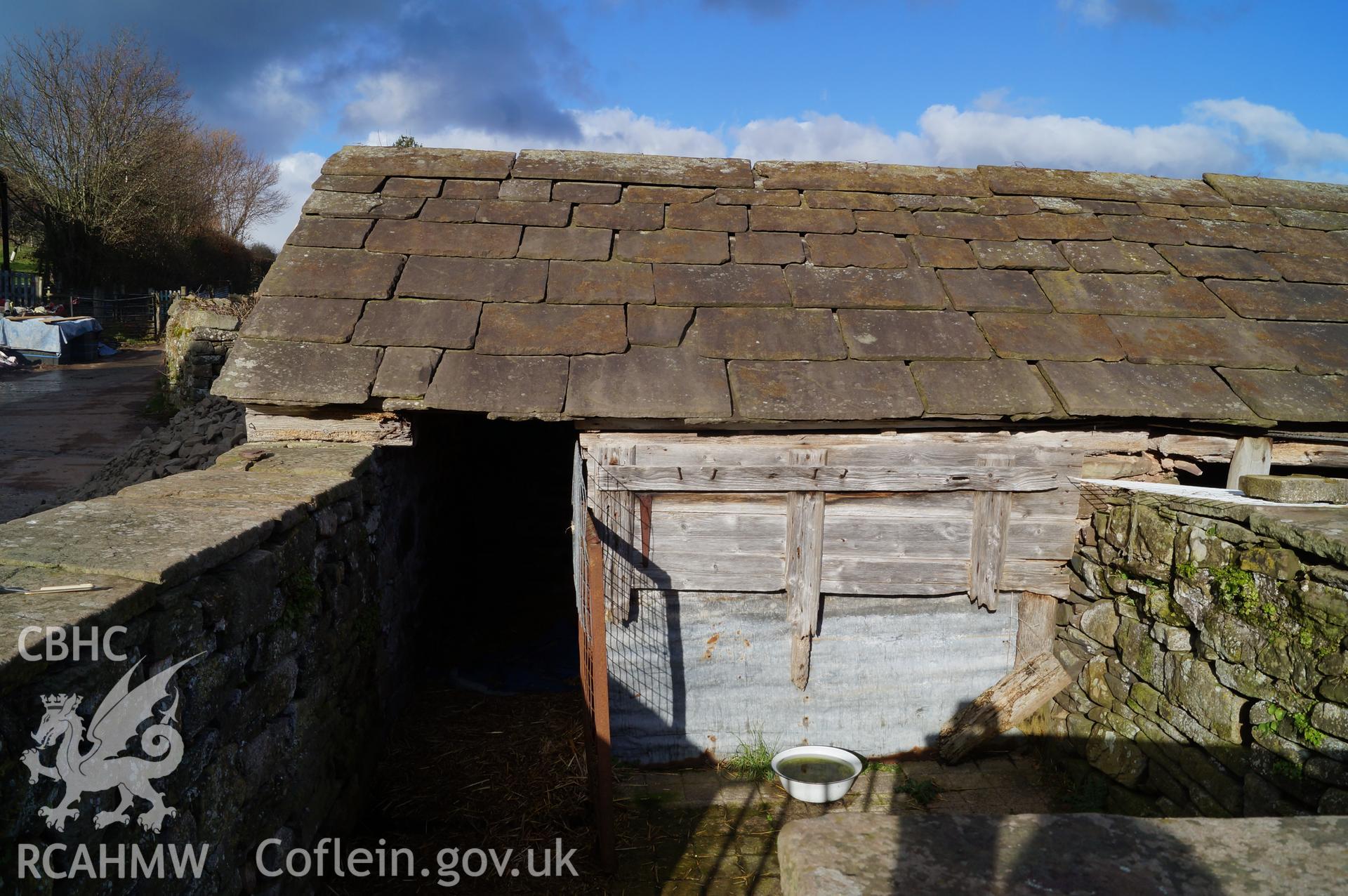 View 'looking north northeast at western cell of the former pigsty' on Gwrlodau Farm, Llanbedr, Crickhowell. Photograph and description by Jenny Hall and Paul Sambrook of Trysor, 9th February 2018.