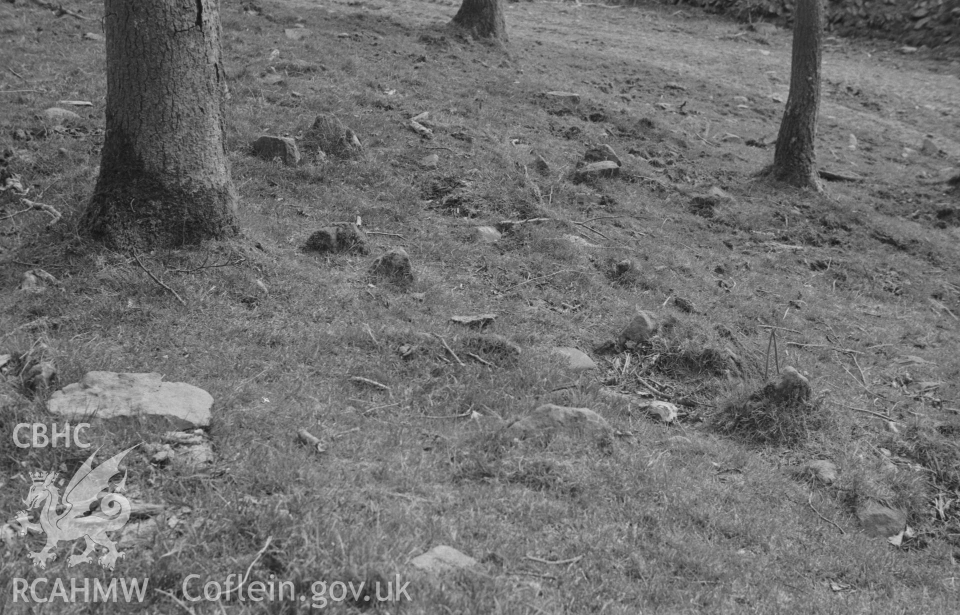 Digital copy of a black and white negative showing ground view at Craig Gwytheyrn hillfort. Photographed by Arthur O. Chater in April 1967.