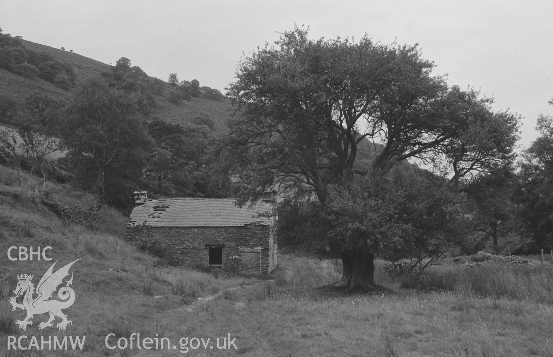 Digital copy of a black and white negative showing Cwm-rhaiadr-fach in the Llyfnant Valley, south of Machynlleth. Photographed by Arthur O. Chater in September 1966 looking north north west down Cwm Rhaiadr from Grid Reference SN 753 959.