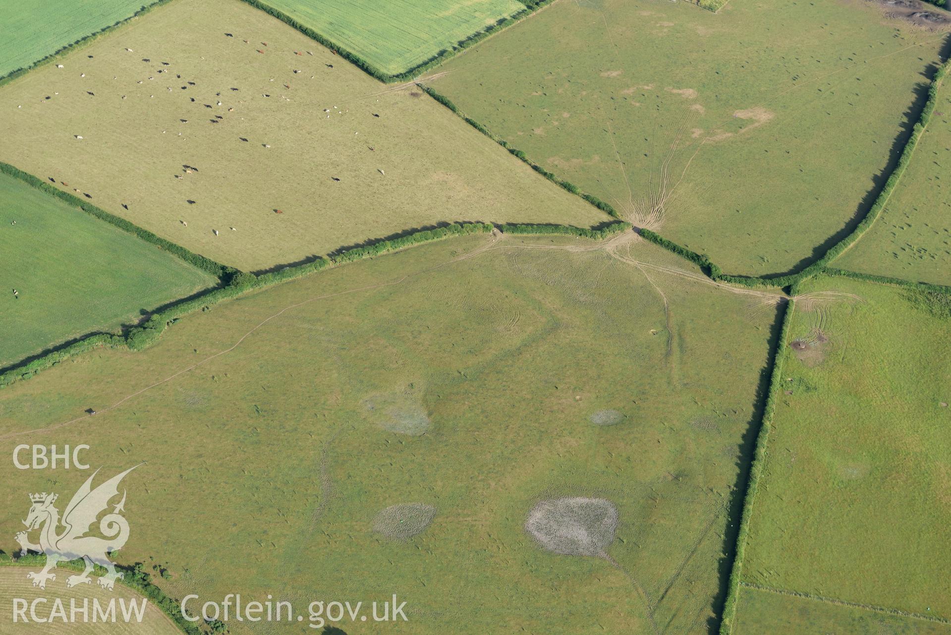 Royal Commission aerial photography of earthworks southwest of Llanddewi Church, with parching, taken on 17th July 2018 during the 2018 drought.