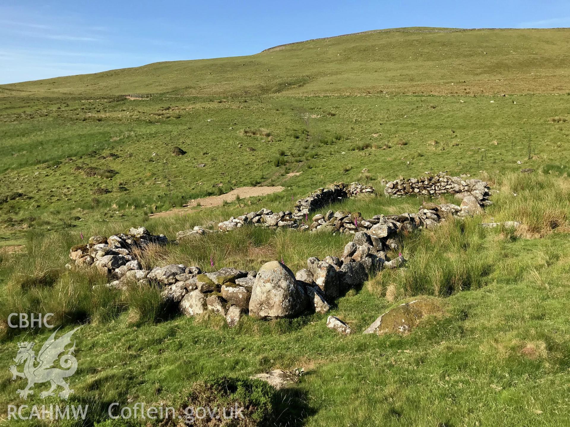 Colour photo showing sheepfolds north of Cwm Cilio, Llanaelhaearn, taken by Paul R. Davis, 24th June 2018.