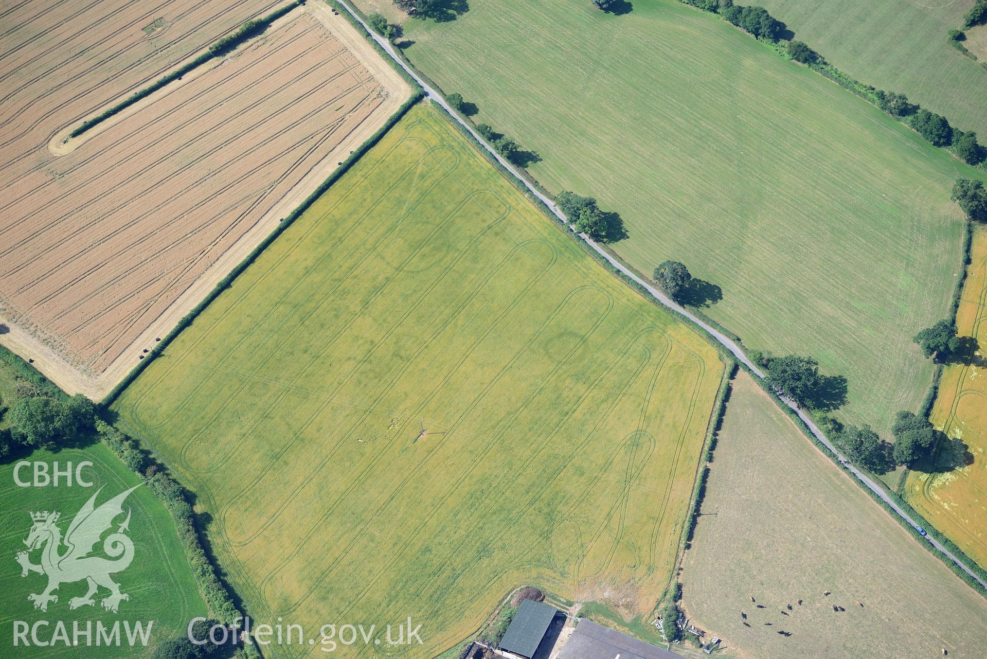 Royal Commission aerial photography of cropmarks of Plas yn Rhal barrow cemetery taken on 19th July 2018 during the 2018 drought.