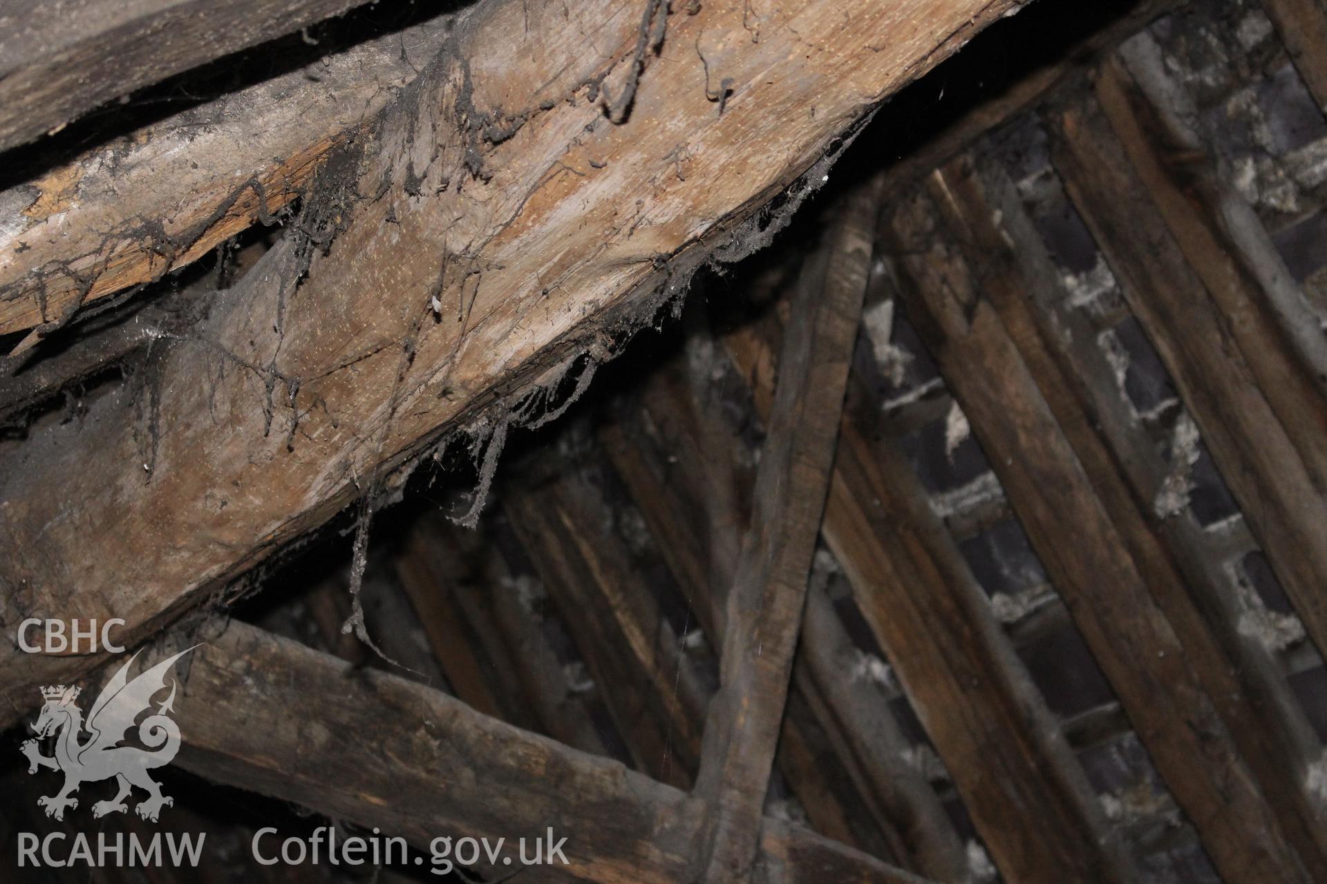 Colour photograph showing interior detail of timber roof frame at 5-7 Mwrog Street, Ruthin. Photographed during survey conducted by Geoff Ward on 14th May 2014.