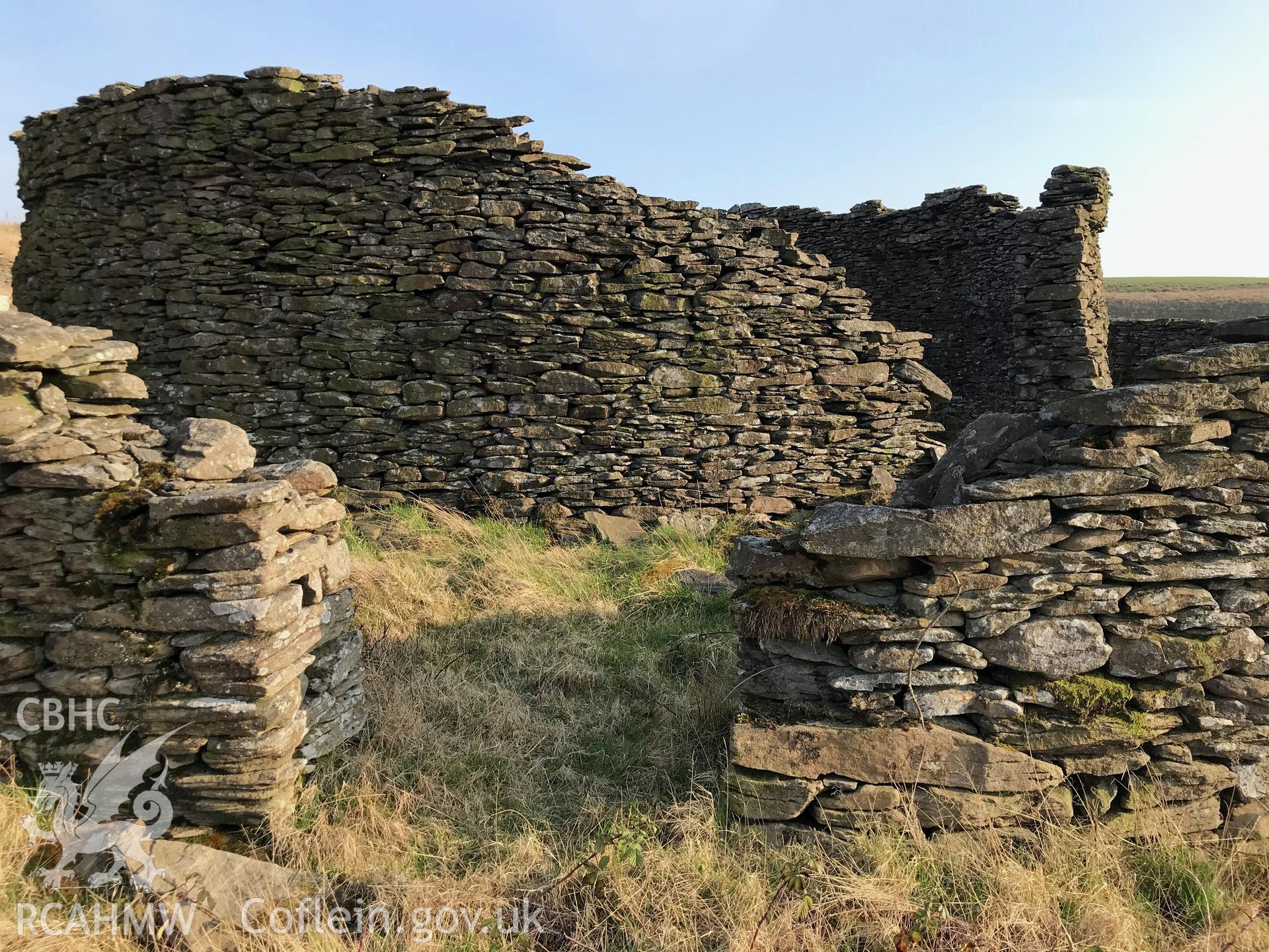 Digital colour photograph of Blaen Pelena possible cattle or sheepfold, Pelenna, east of Neath, taken by Paul R. Davis on 30th March 2019.