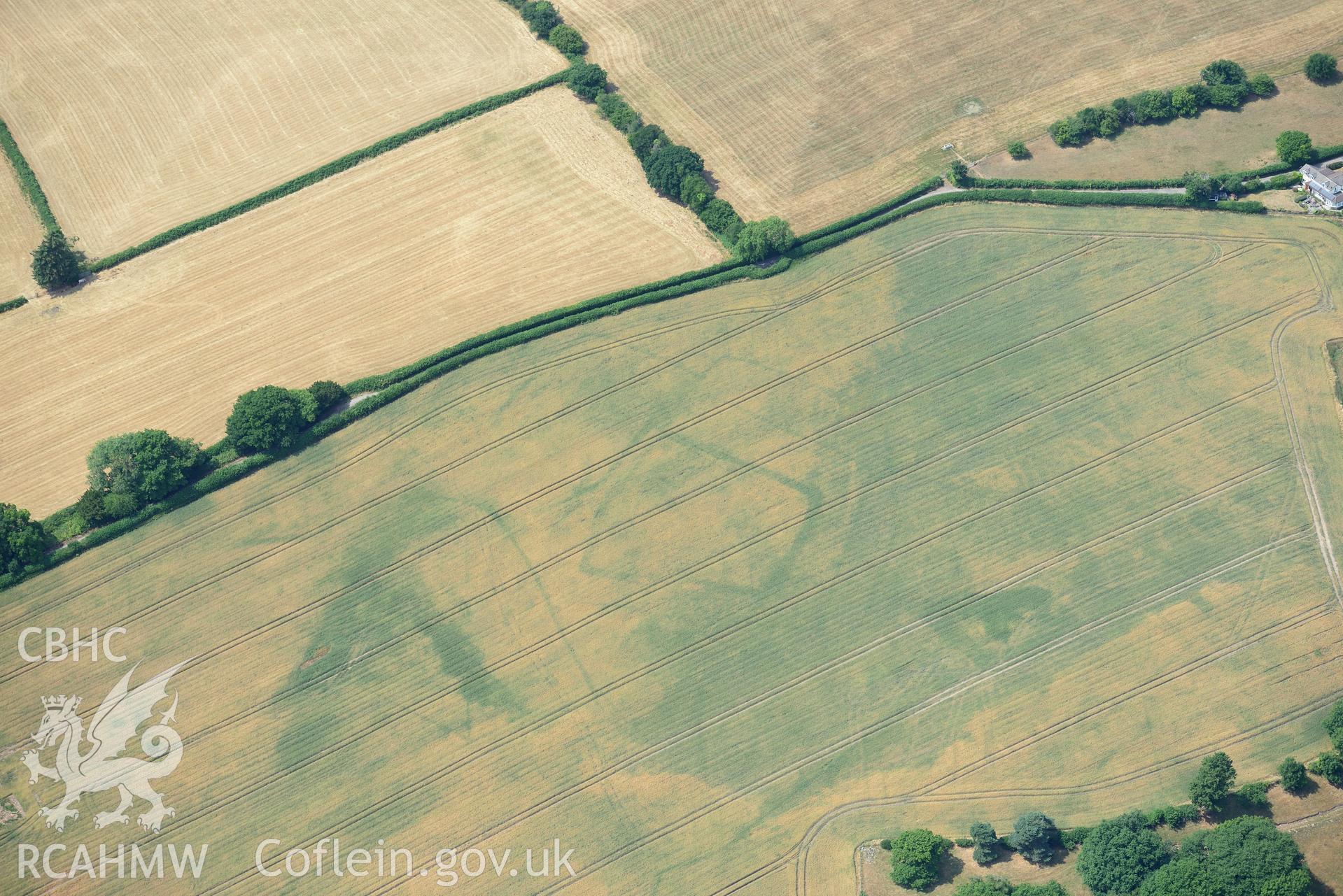 Royal Commission aerial photography of Wyndcliffe Court or Wet Wood cropmark complex taken on 19th July 2018 during the 2018 drought.