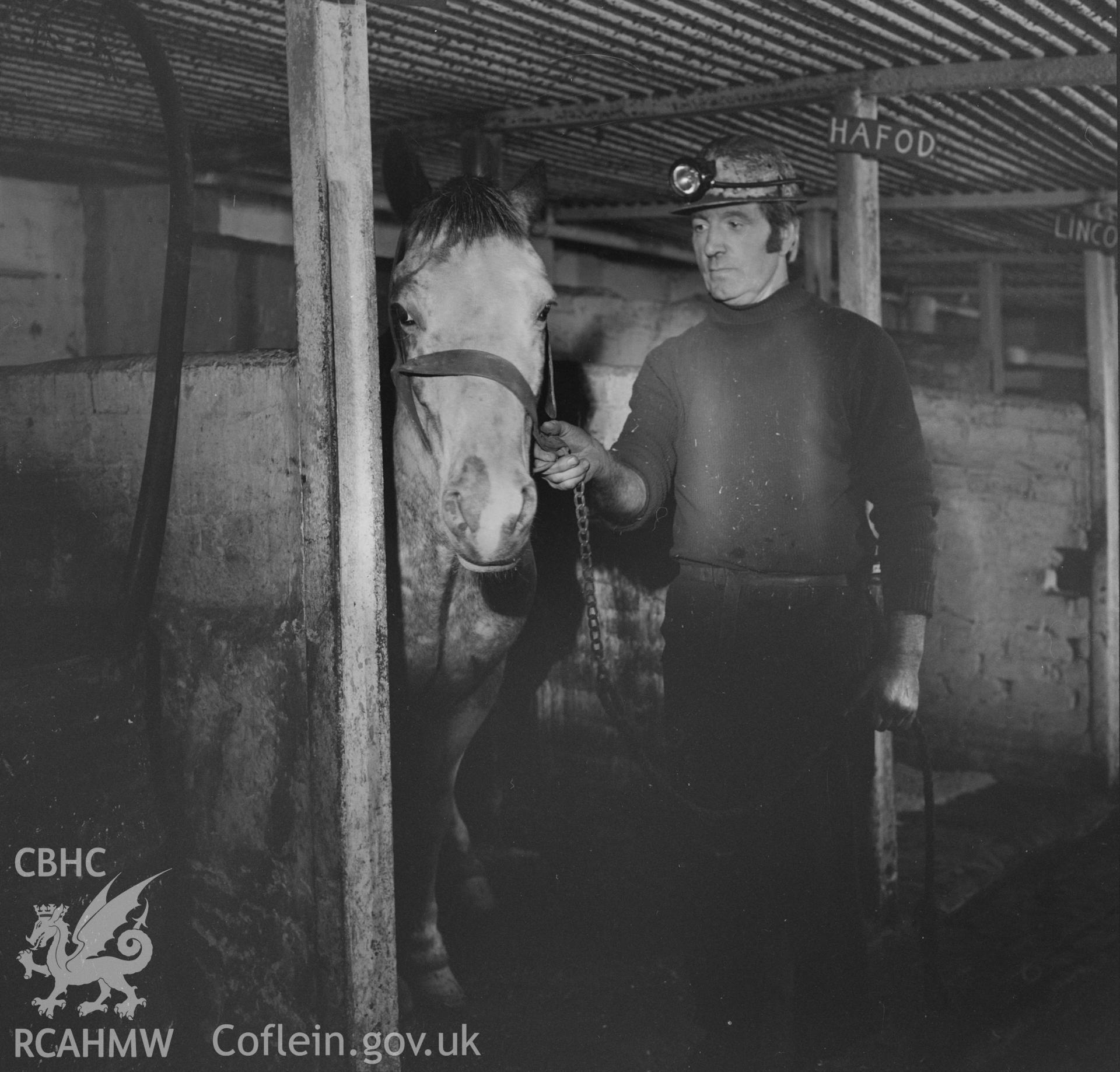 Digital copy of an acetate negative showing collier and pit pony at Tower Colliery, from the John Cornwell Collection.