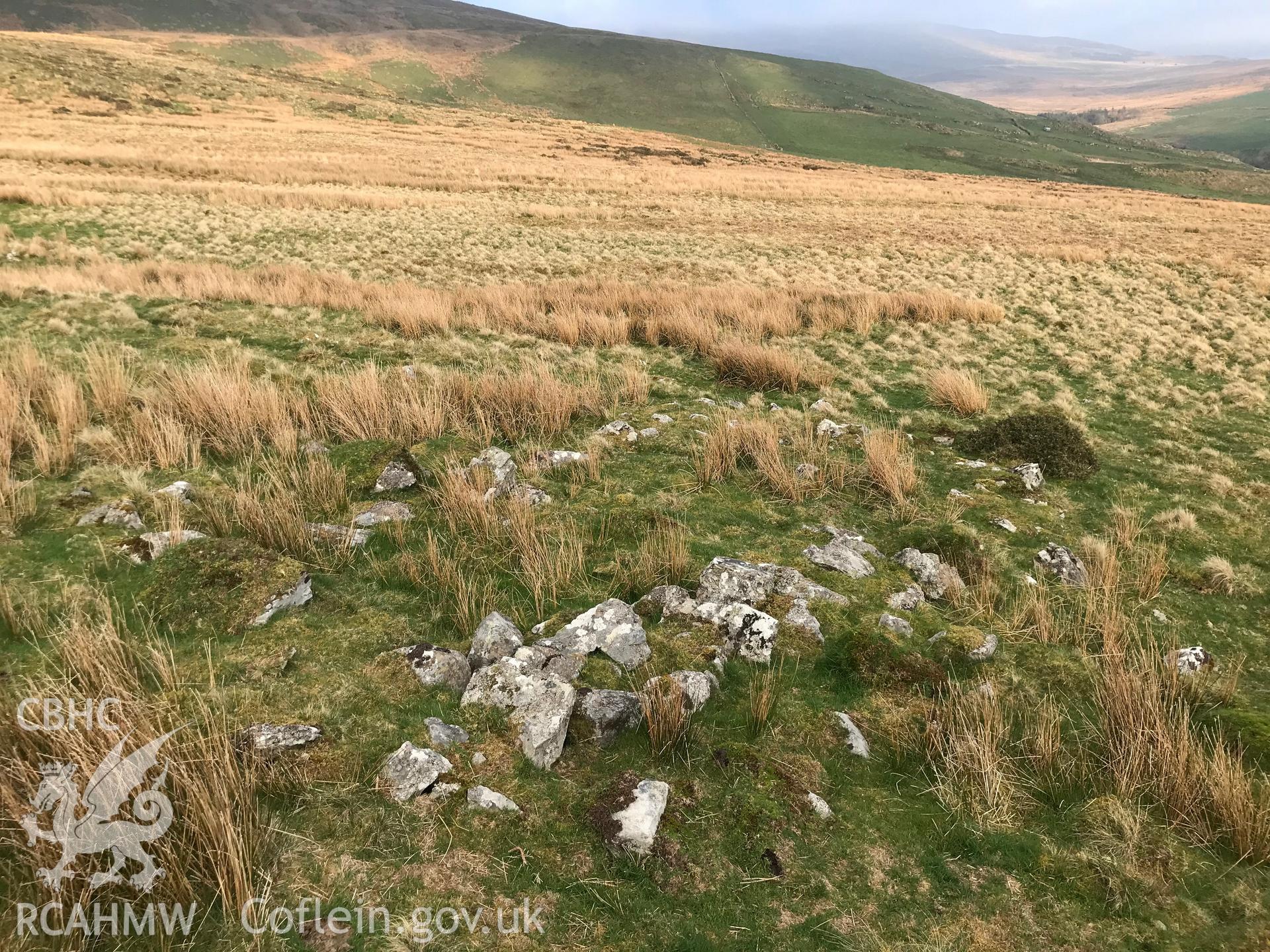 Colour photograph of Lluest Llain Wen deserted rural settlement, east of Tre'r-ddol, taken by Paul R. Davis on 28th March 2019.