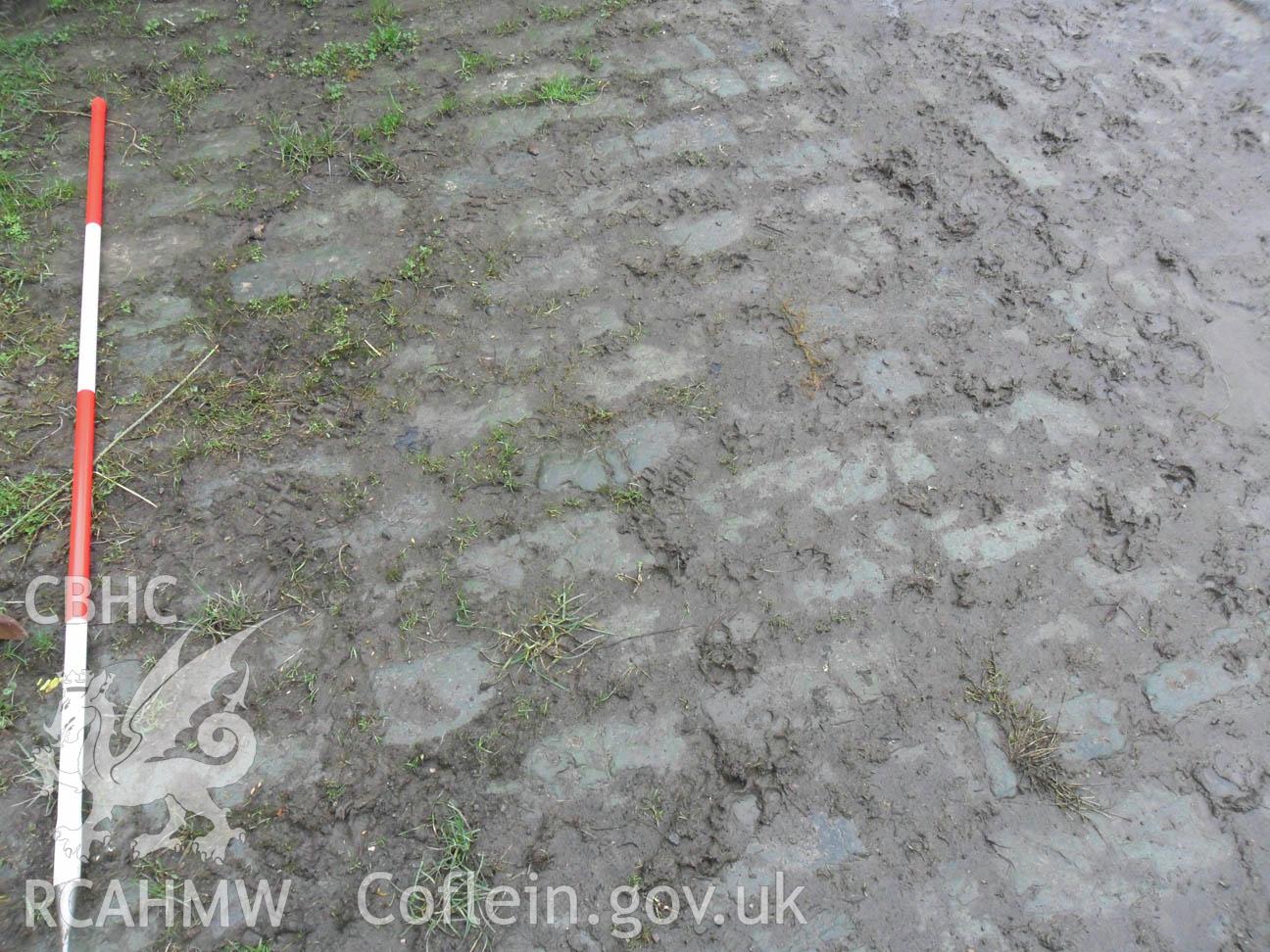'View of rectangular cut regular cobbles within courtyard, Scales 1x2m.' Photographed as part of archaeological desk based assessment and building recording undertaken by Archaeology Wales in March 2013. Report no. 1108.