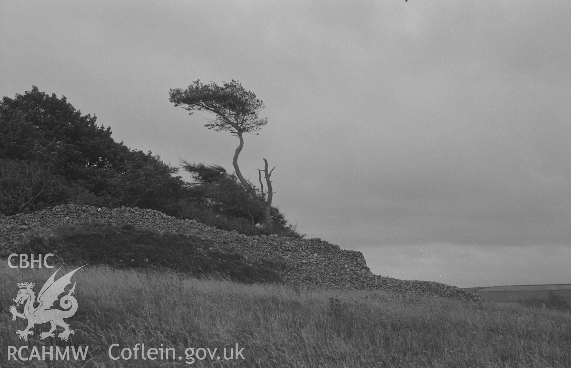 Digital copy of black & white negative showing panorama of Carn Wen's stone rampart, forming a c.? circle and cutting off the point of a promontory overlooking Nant Cloigen. Photograph by Arthur O. Chater, 30 Aug 1967, looking south east from SN 396 471.