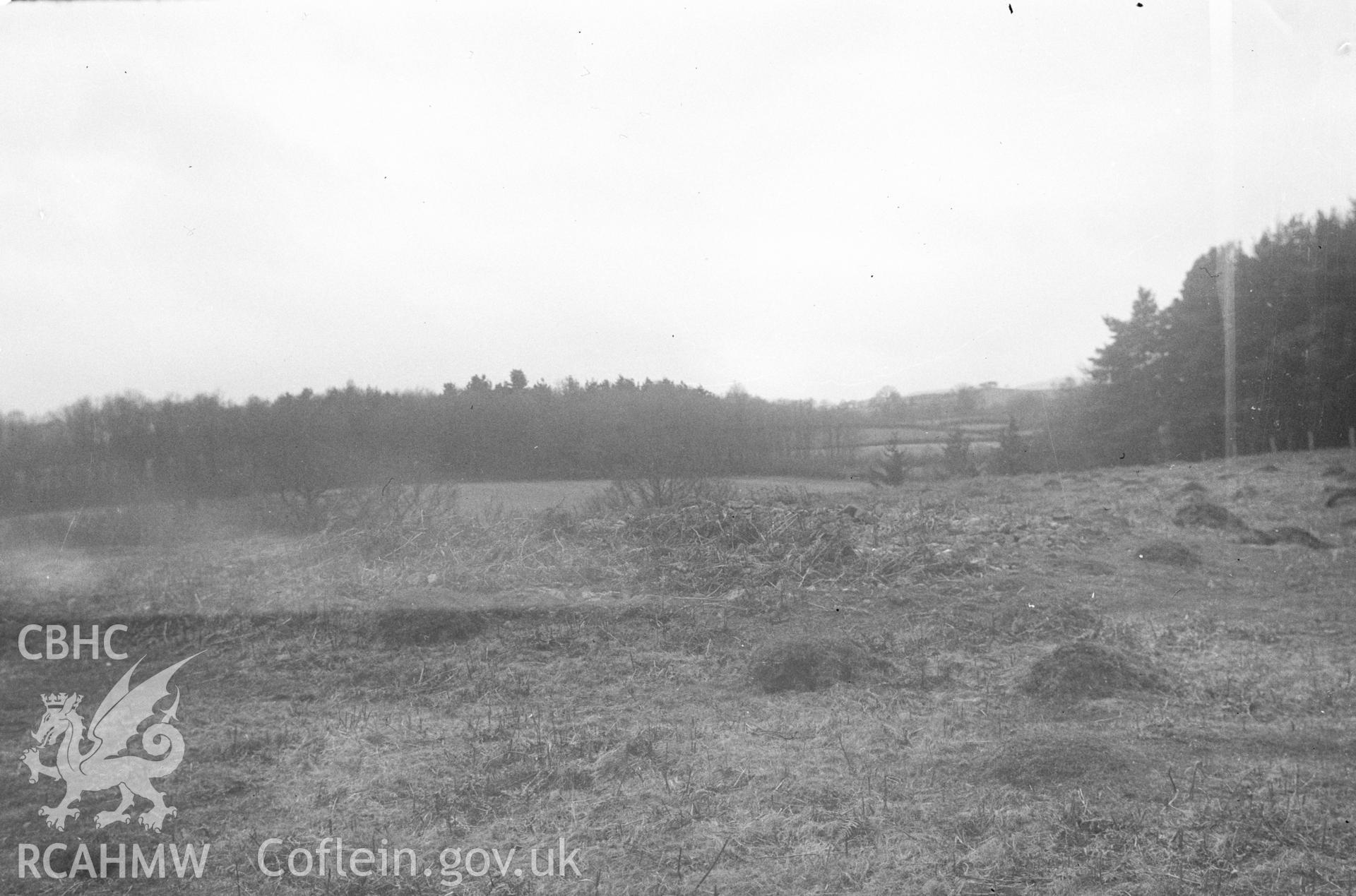 Digital copy of a nitrate negative showing Bryn Cosyn Round Barrows, Ysceifiog. From the Cadw Monuments in Care Collection.