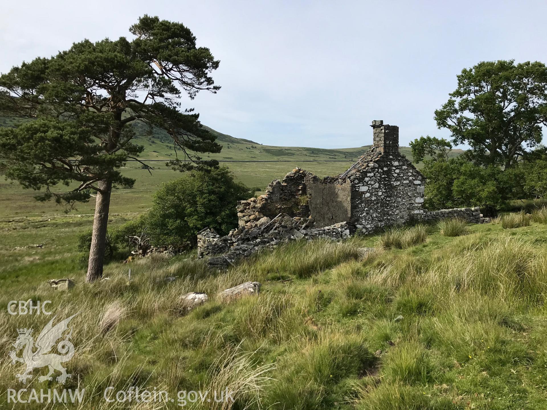 Colour photo showing the remains of Brwynog Isaf house and outbuildings, taken by Paul R. Davis, 23rd June 2018.