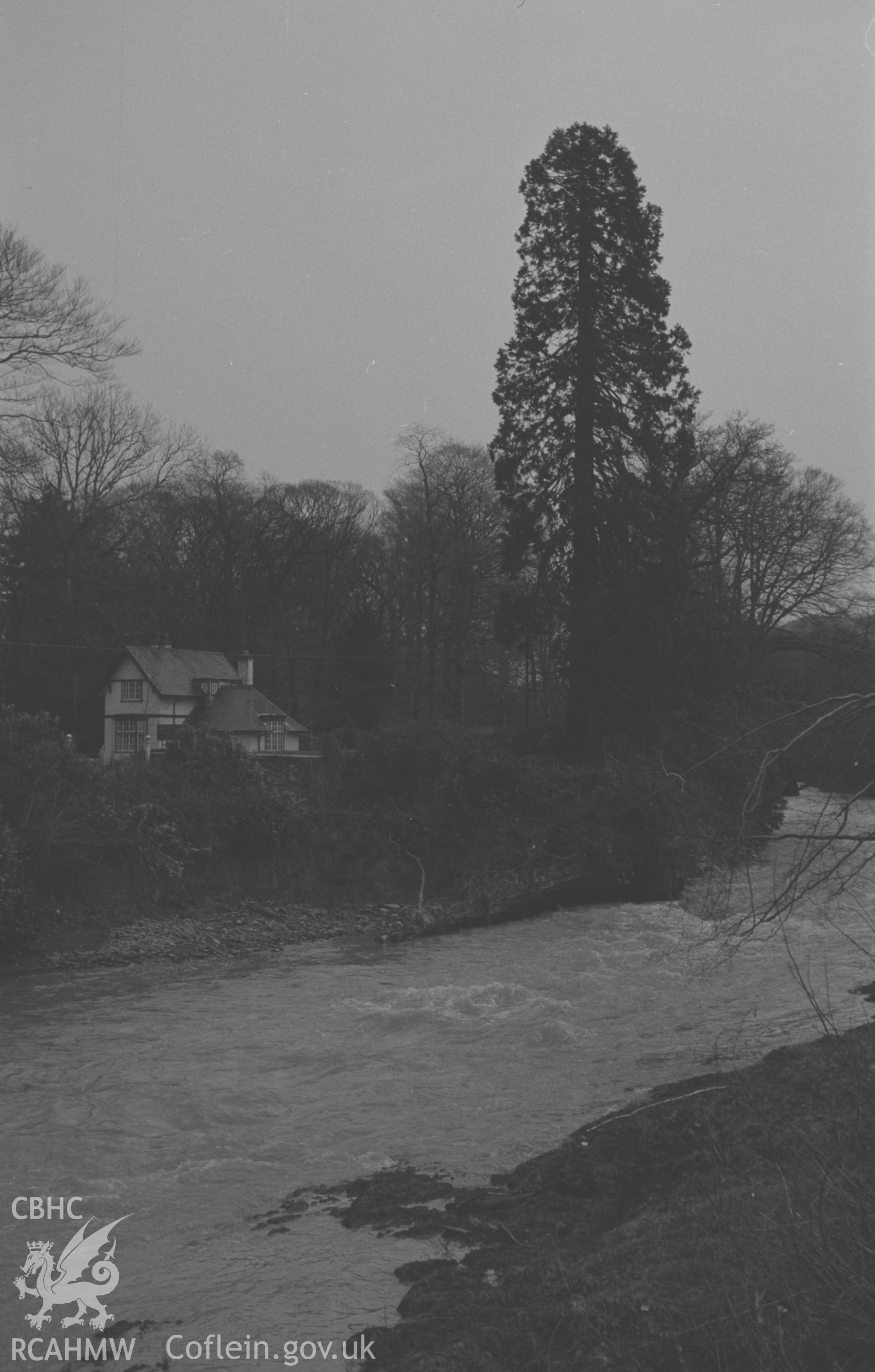 Digital copy of a black and white negative showing flood damage by the Ystwyth, with Trawscoed Lodge on the left. Photographed by Arthur O. Chater in December 1964 from Grid Reference SN 6660 7315, looking south east.