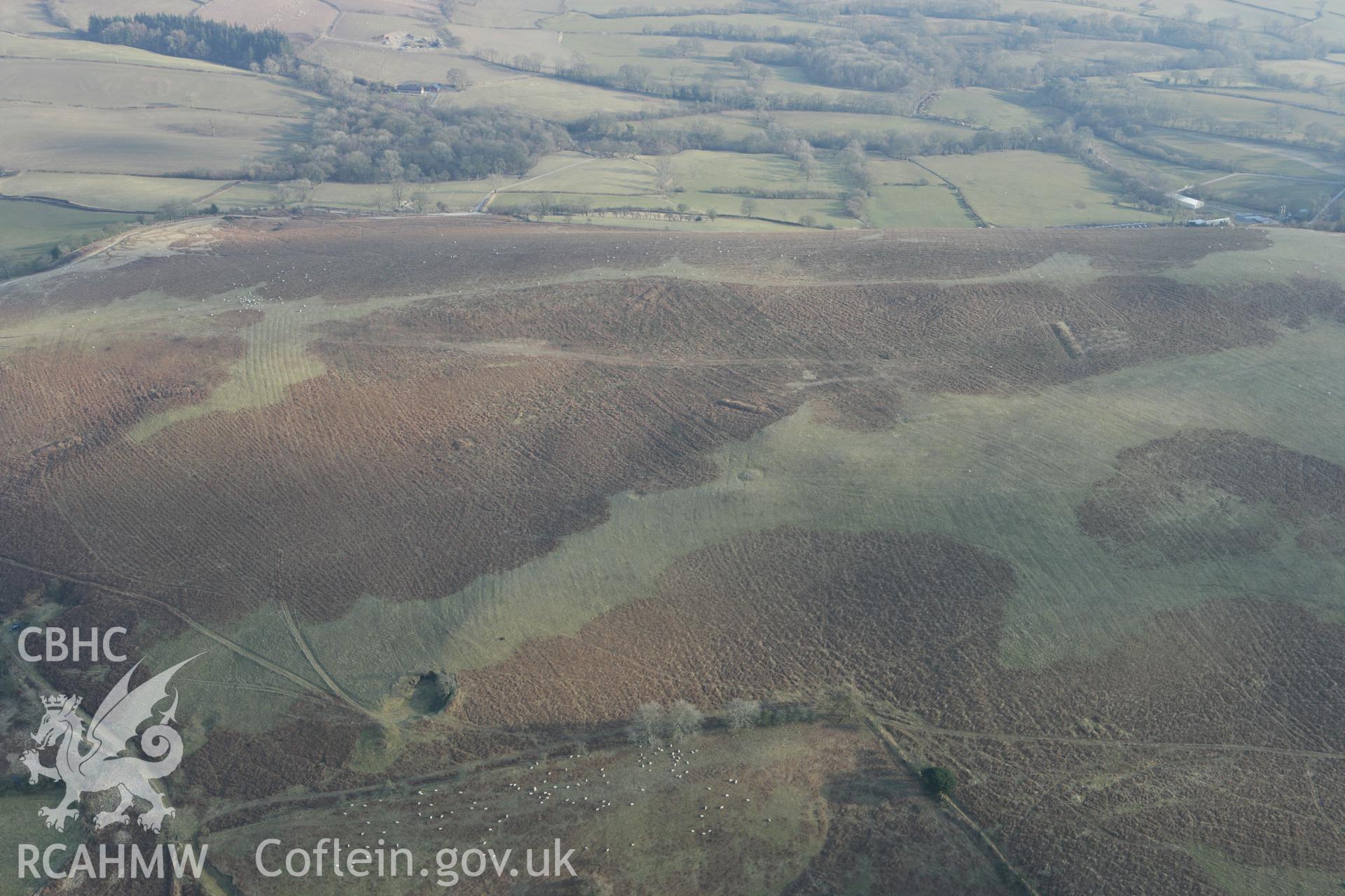 RCAHMW colour oblique photograph of Coed Swydd, pillow mounds. Taken by Toby Driver on 11/03/2010.