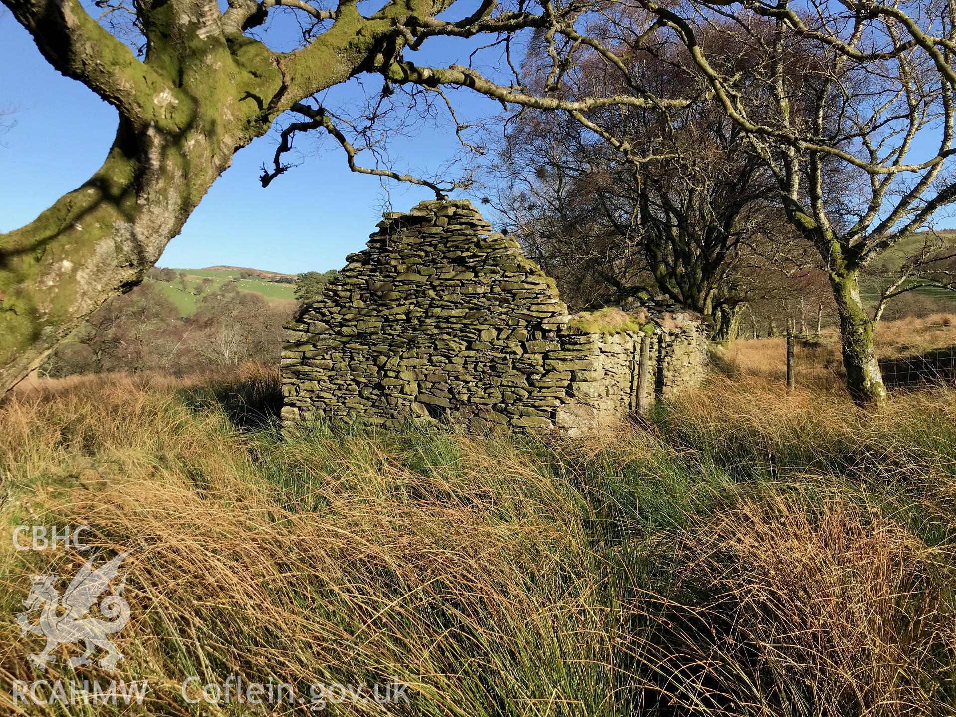 Detailed view of the remains of Castell stone cottage, south west of Bryneithinog farm, Ystrad Fflur. Colour photograph taken by Paul R. Davis on 18th November 2018.