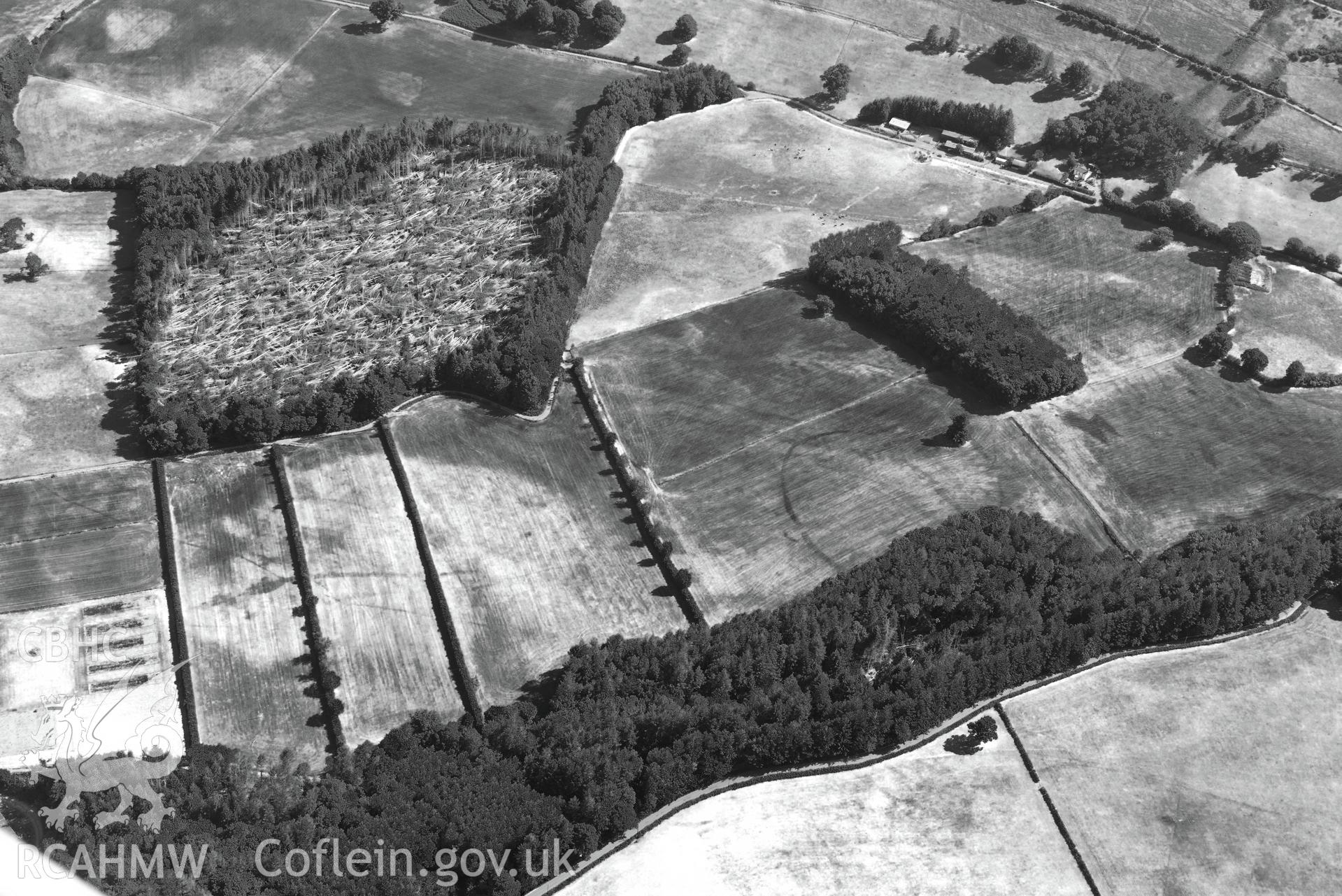 Royal Commission aerial photography of Trellech Grange, showing cropmarks northeast of Grange Spring Lakes at SO 496018, taken on 19th July 2018 during the 2018 drought.