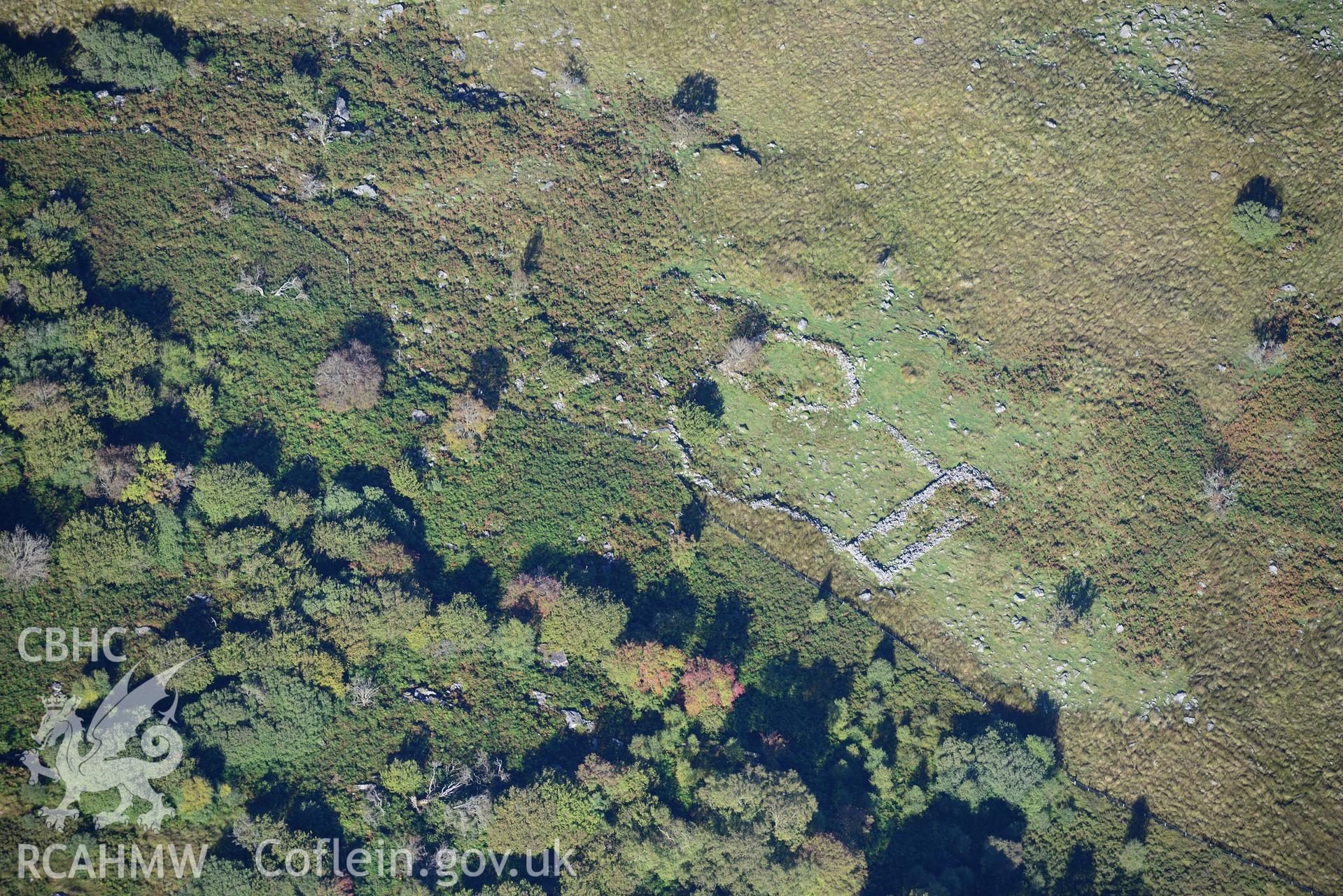 Structure at Ffridd-Bryn-Coch, between Ganllwyd and Bronaber. Oblique aerial photograph taken during the Royal Commission's programme of archaeological aerial reconnaissance by Toby Driver on 2nd October 2015.