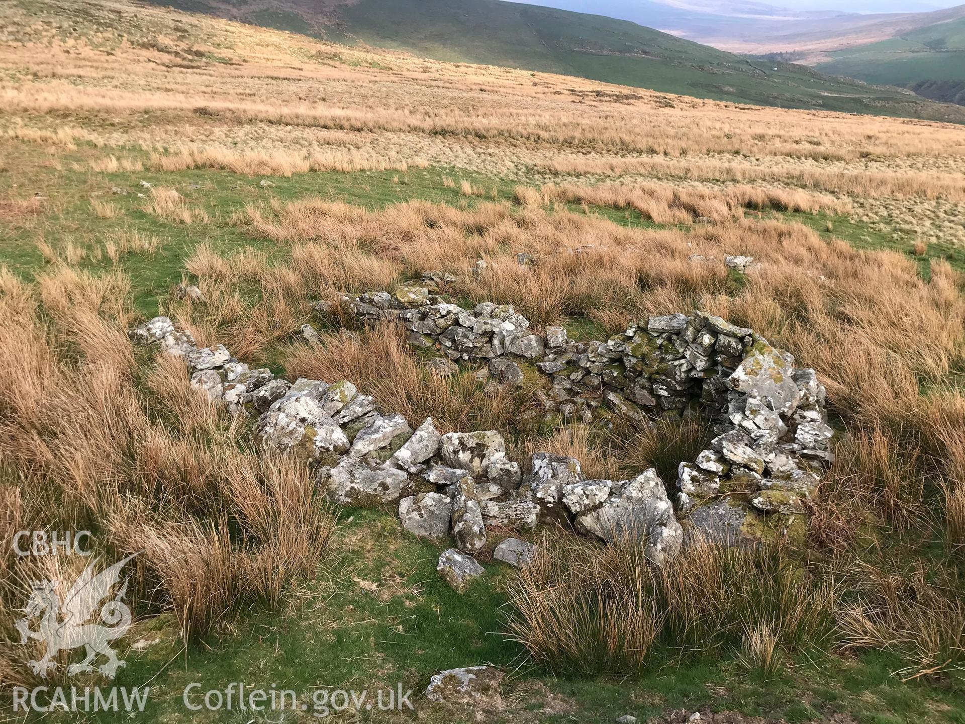 Colour photograph of Lluest Llain Wen deserted rural settlement, east of Tre'r-ddol, taken by Paul R. Davis on 28th March 2019.