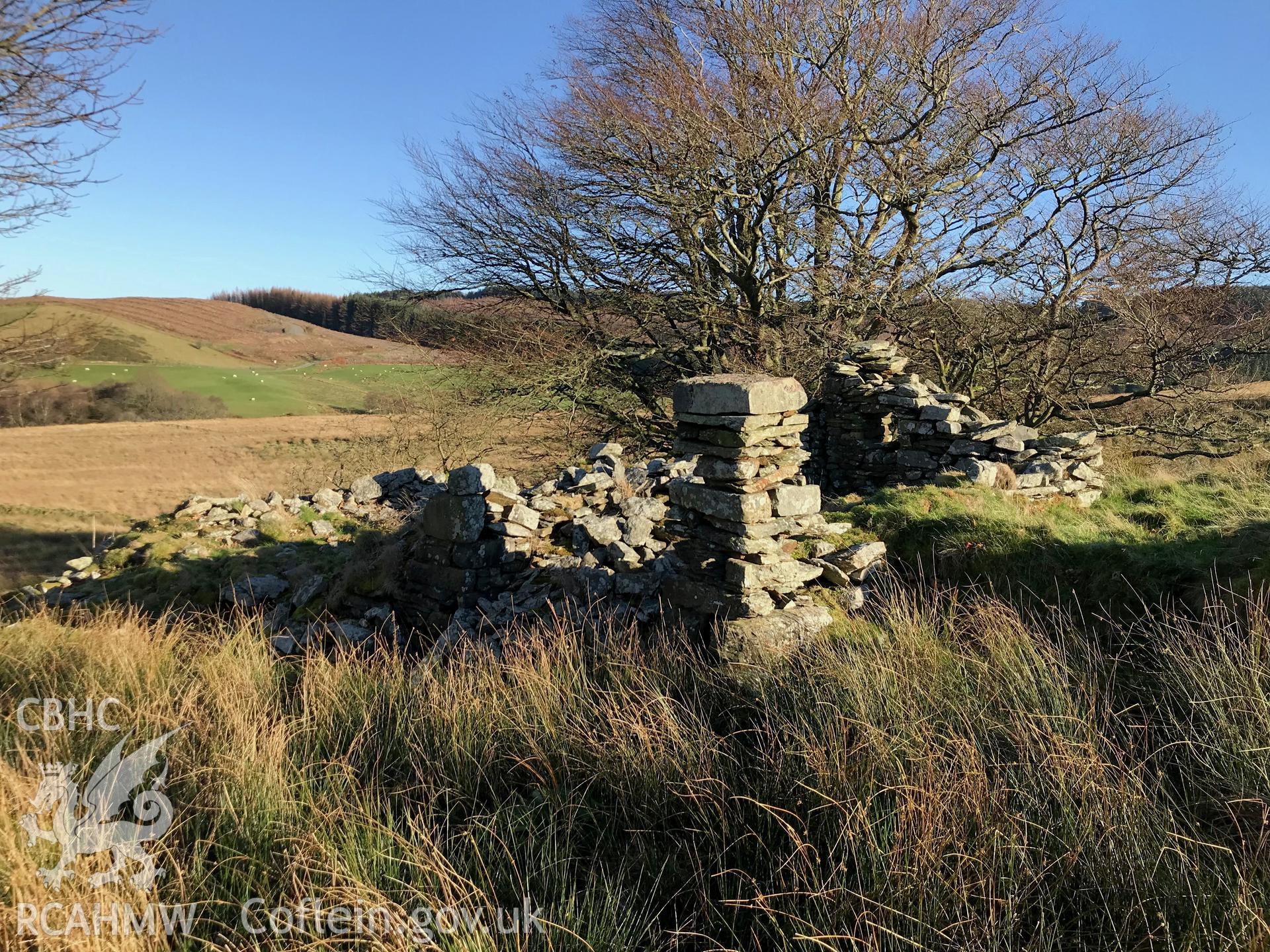 Detailed exterior view of the remains of dry-stone walled Ty-Canol, south west of Bryneithinog farm, Ystrad Fflur. Colour photograph taken by Paul R. Davis on 18th November 2018.
