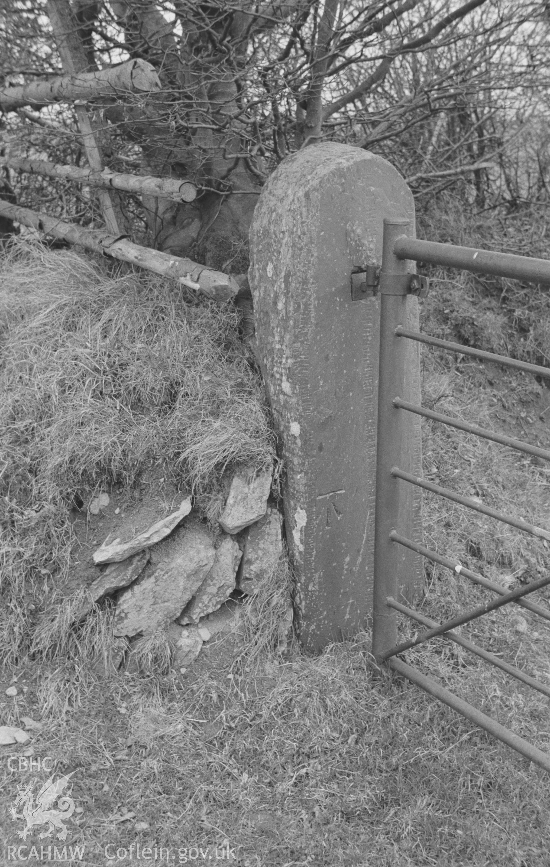 Digital copy of a black and white negative showing view of decorated stone gate-post by Egair Hendy farm, Blaenpennal. Photographed in March 1964 by Arthur O. Chater from Grid Reference c. SN 635 640.