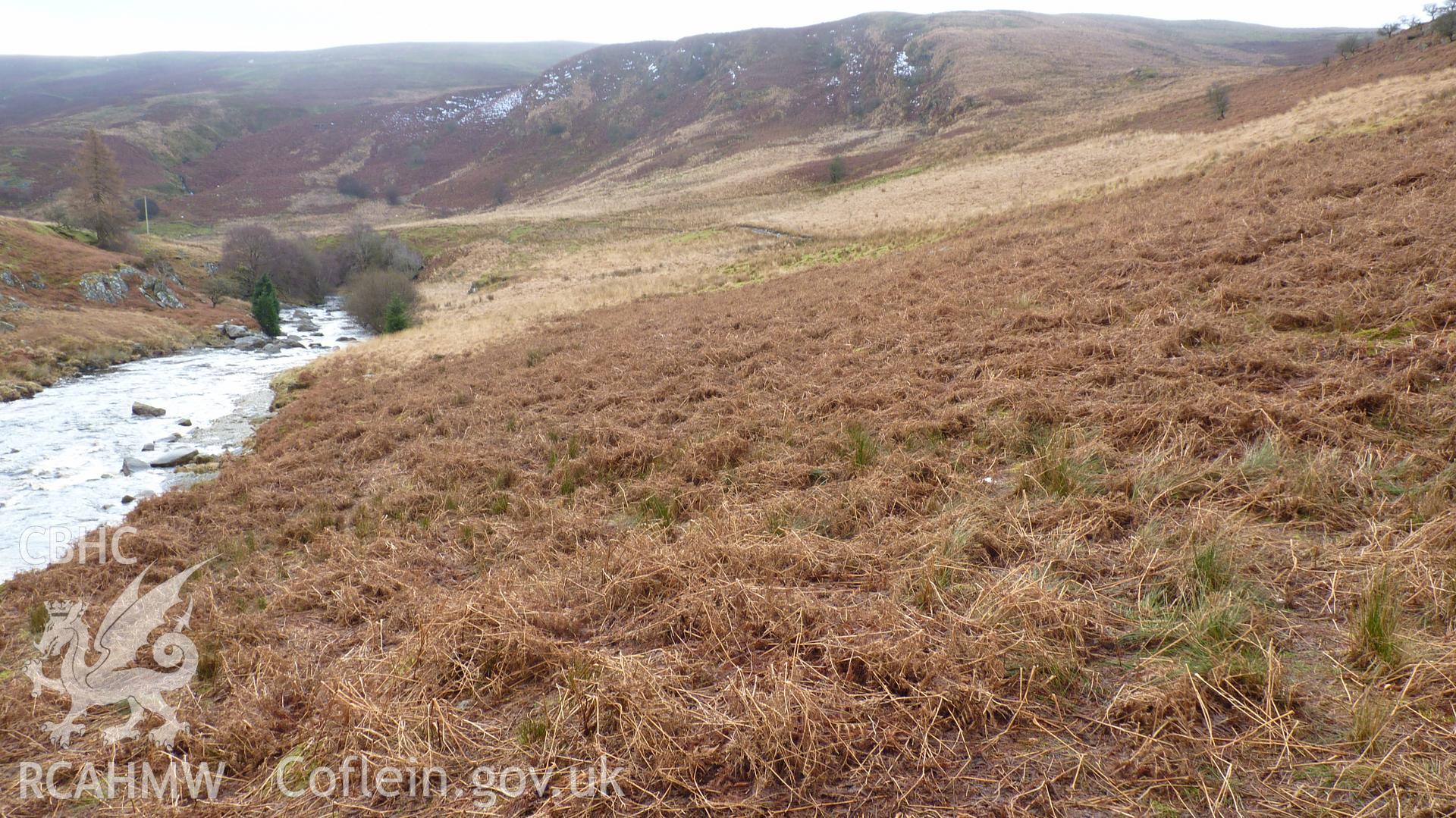 General view along penstock route, running up centre of picture, across an area of numerous banks (not visible amongst bracken). Photographed for Archaeological Desk Based Assessment of Afon Claerwen, Elan Valley, Rhayader. Assessment by Archaeology Wales, 2017-18.
