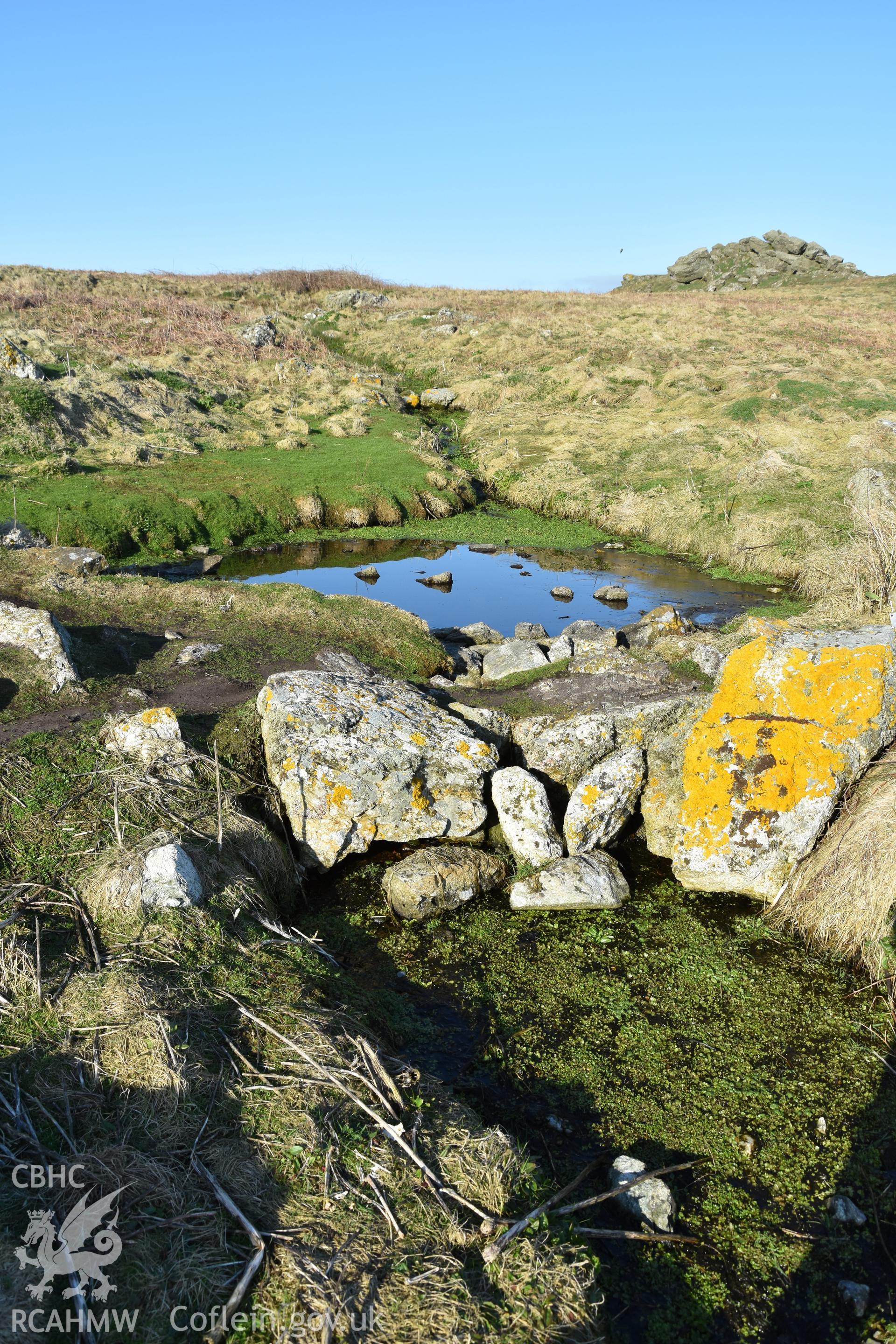 Wick Stream Dams, photo survey 19 April 2018
