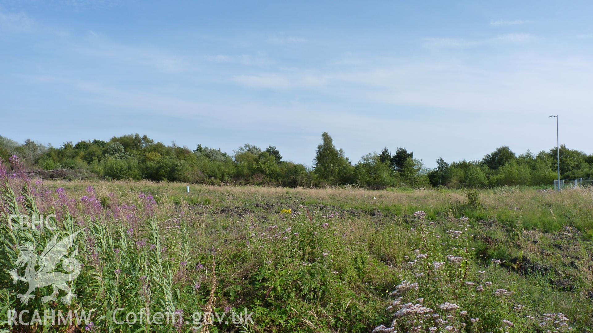 View south across proposed development area. Garn Goch Commom lies beyond high scrub. Photographed for Setting Impact Assessment of land near Garngoch Business Village, Swansea, by Archaeology Wales, 2018. Project number P2631.