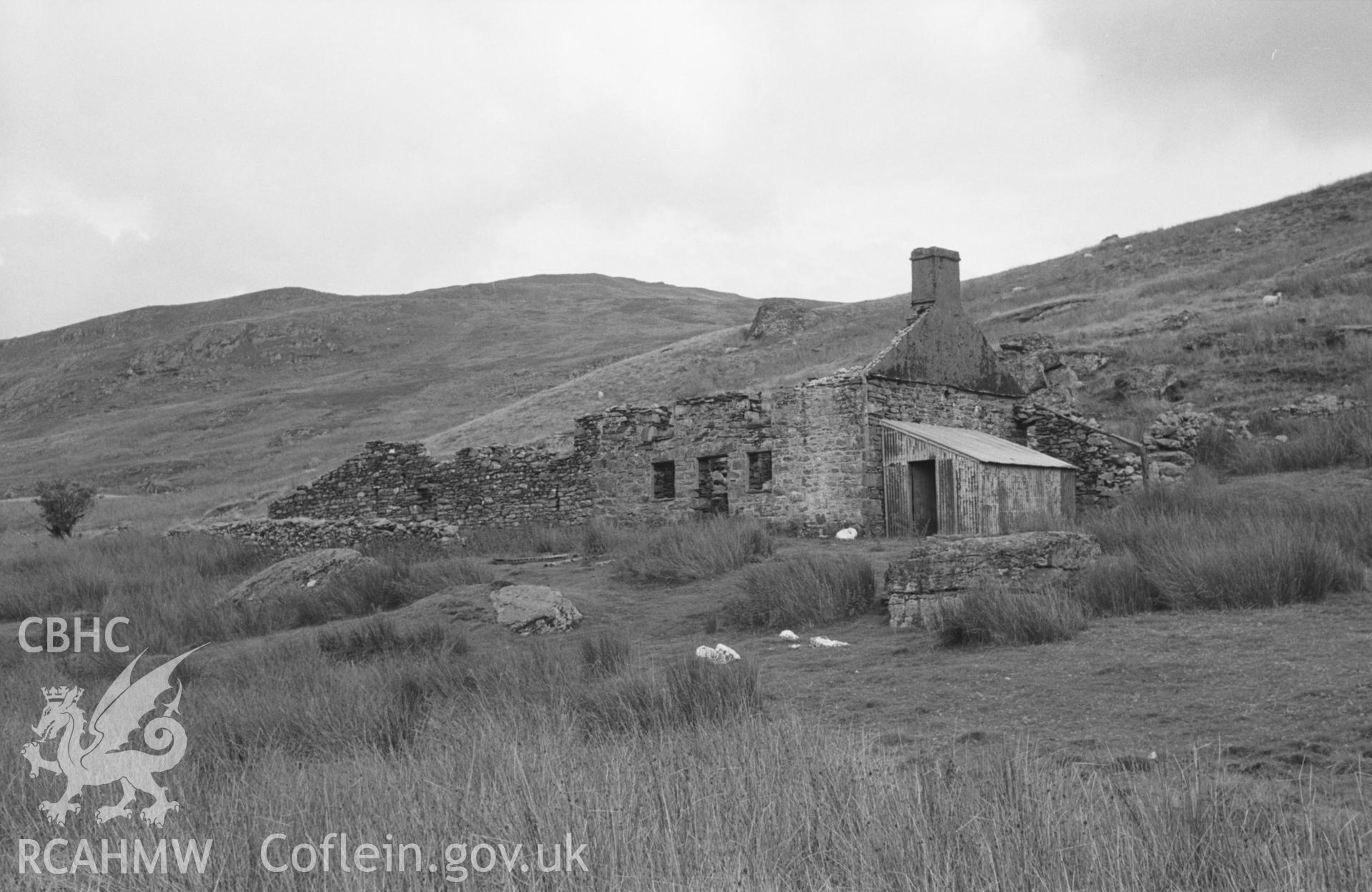 Digital copy of a black and white negative showing the ruins of Nant y Llyn farmstead, Blaenrheidol. Photographed in September 1963 by Arthur O. Chater from Grid Reference SN 7827 8905, looking south east.