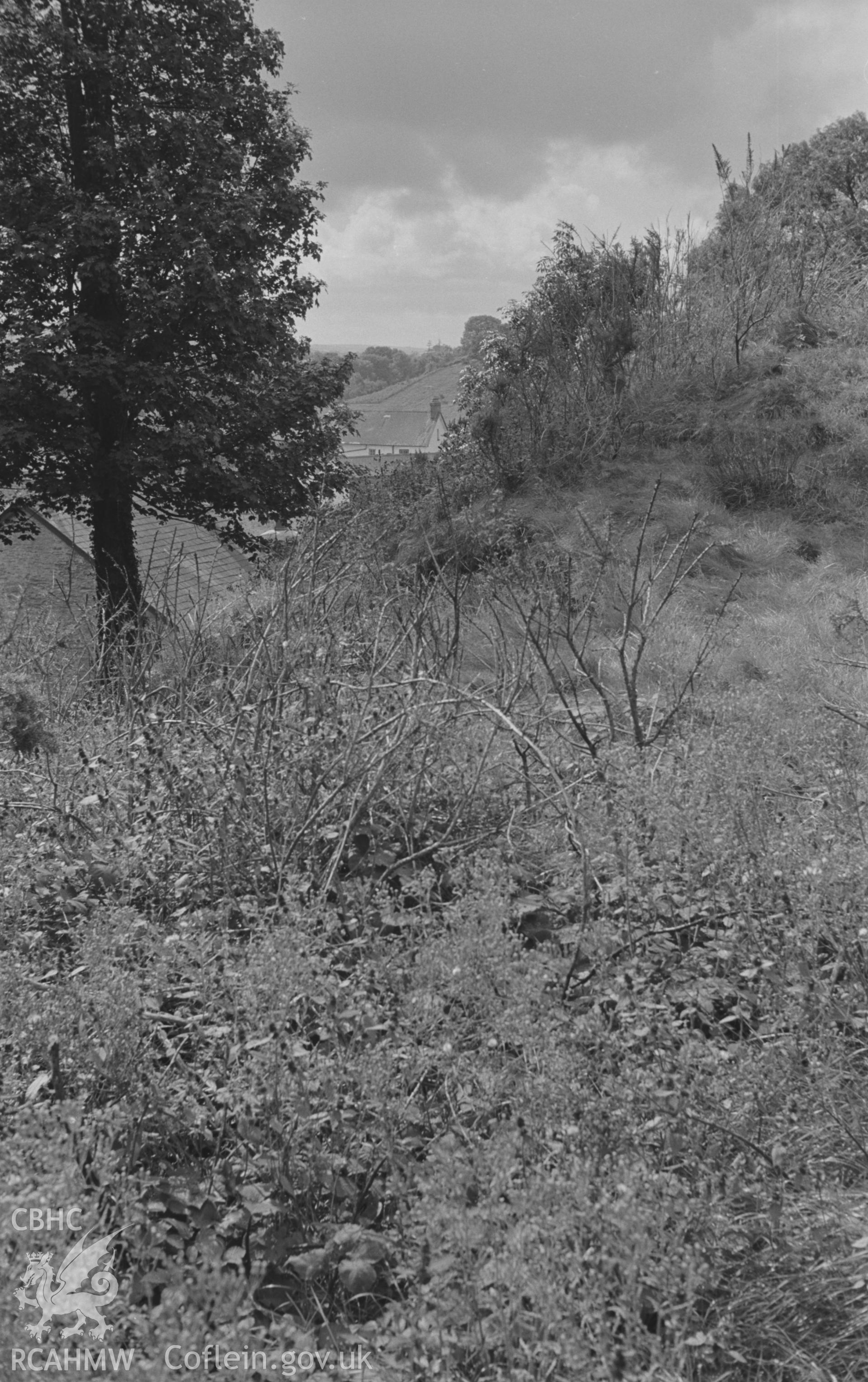 Digital copy of a black and white negative showing view along the south east side of the Norman motte (right) of Castell Ddol-Wlff, Llanybydder. Photographed in September 1963 by Arthur O. Chater from Grid Reference SN 5205 4452, looking south west.