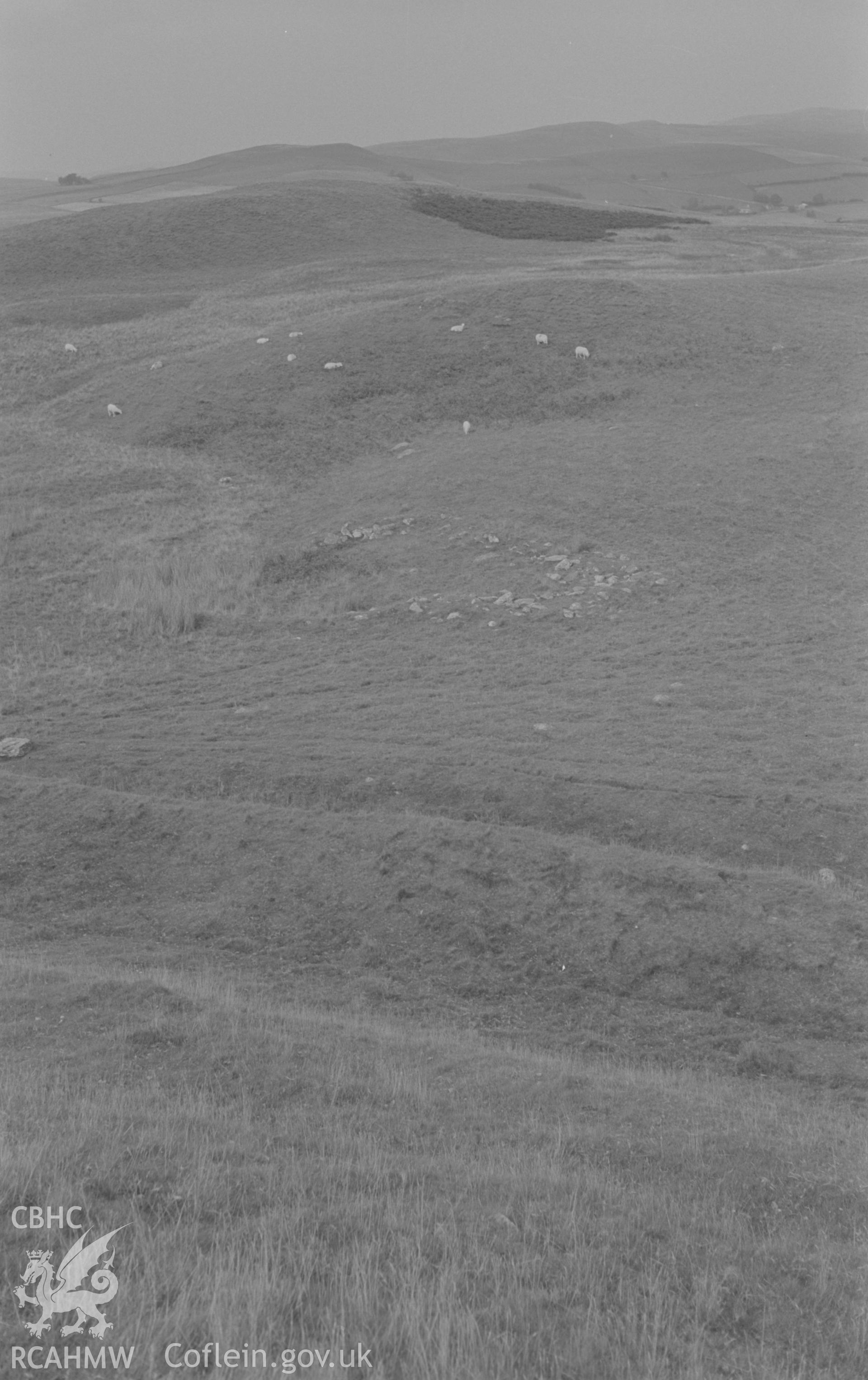 Digital copy of black & white negative showing the triple entrance ramparts on the north side of Pen-y-Bannau iron age camp. Photographed by Arthur O. Chater on 25th August 1967, looking north from Grid Reference SN 742 669. (Panorama, photograph 2 of 5)