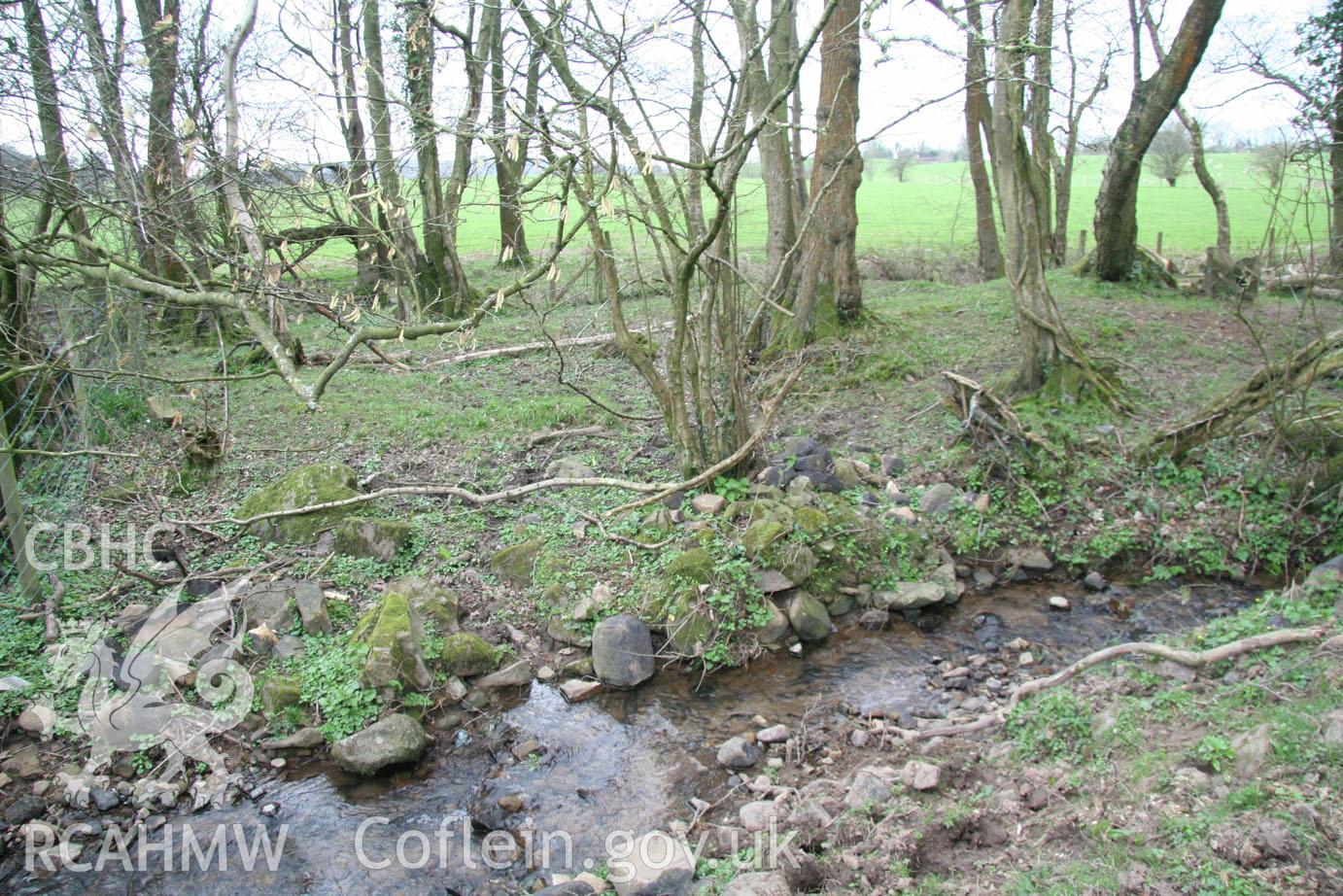 Stream and woods on proposed development site. Digital colour photograph taken during site visit to land south of school lane, Penperlleni. Part of Archaeological Desk Based Assessment conducted by Iestyn Jones of Archaeology Wales, 2014.