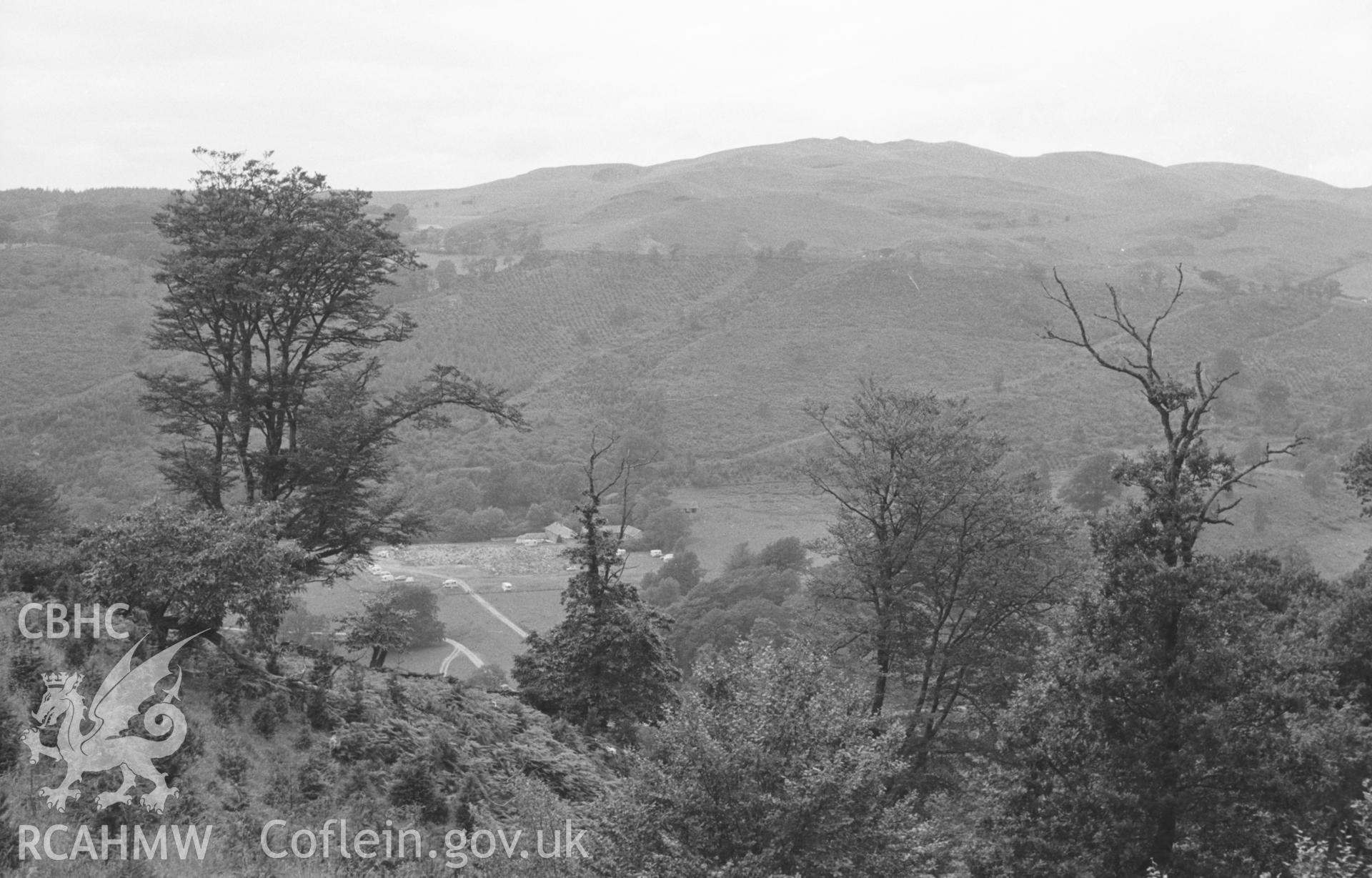 Digital copy of black & white photograph showing site of Hafod (now Caravan Club site) from lane near top of Allt Dihanog (SN761726) looking north west. Old beech tree presumably planted by Thomas Johnes. Photograph by Arthur O. Chater, August 1963.