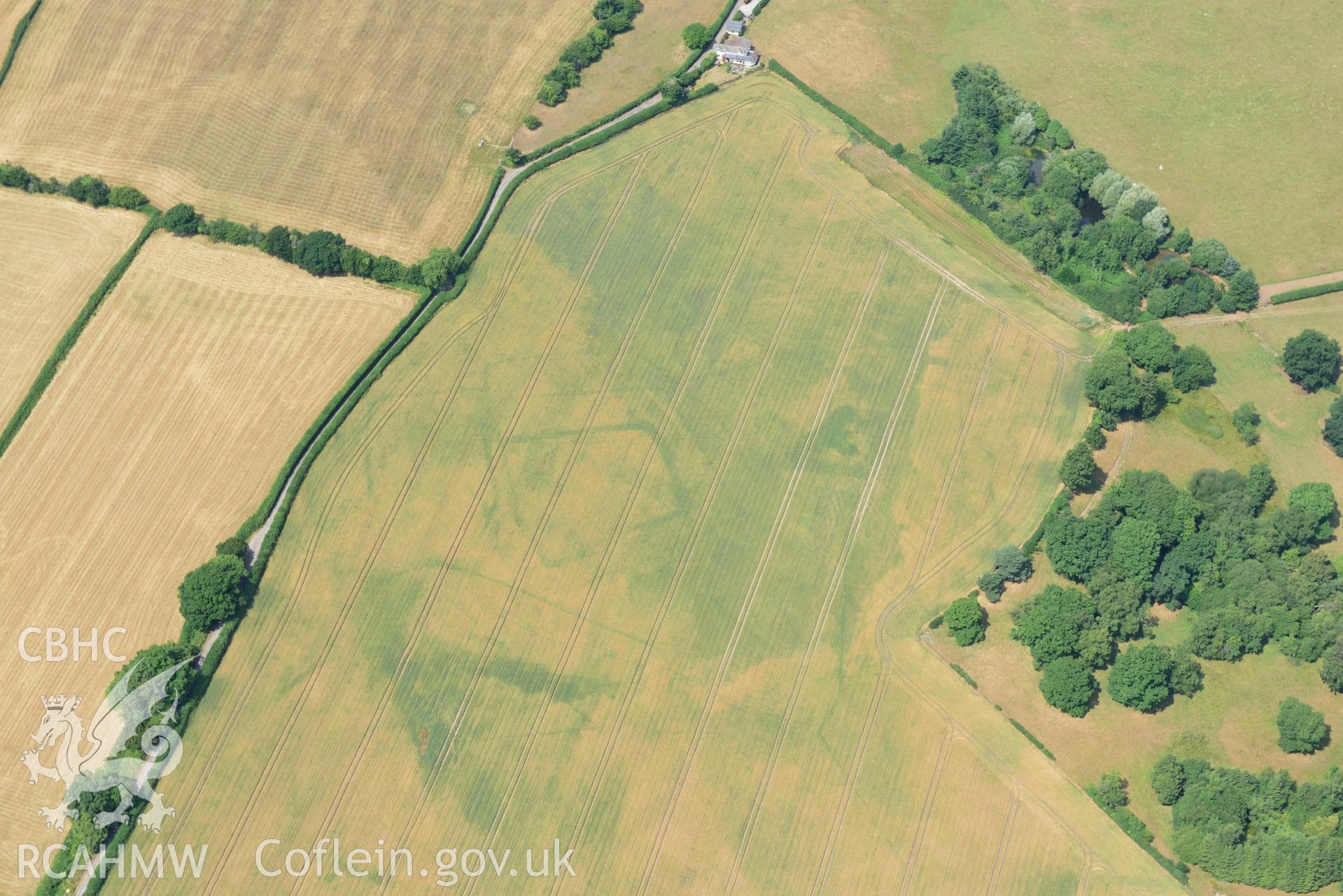 Royal Commission aerial photography of Wyndcliffe Court or Wet Wood cropmark complex taken on 19th July 2018 during the 2018 drought.