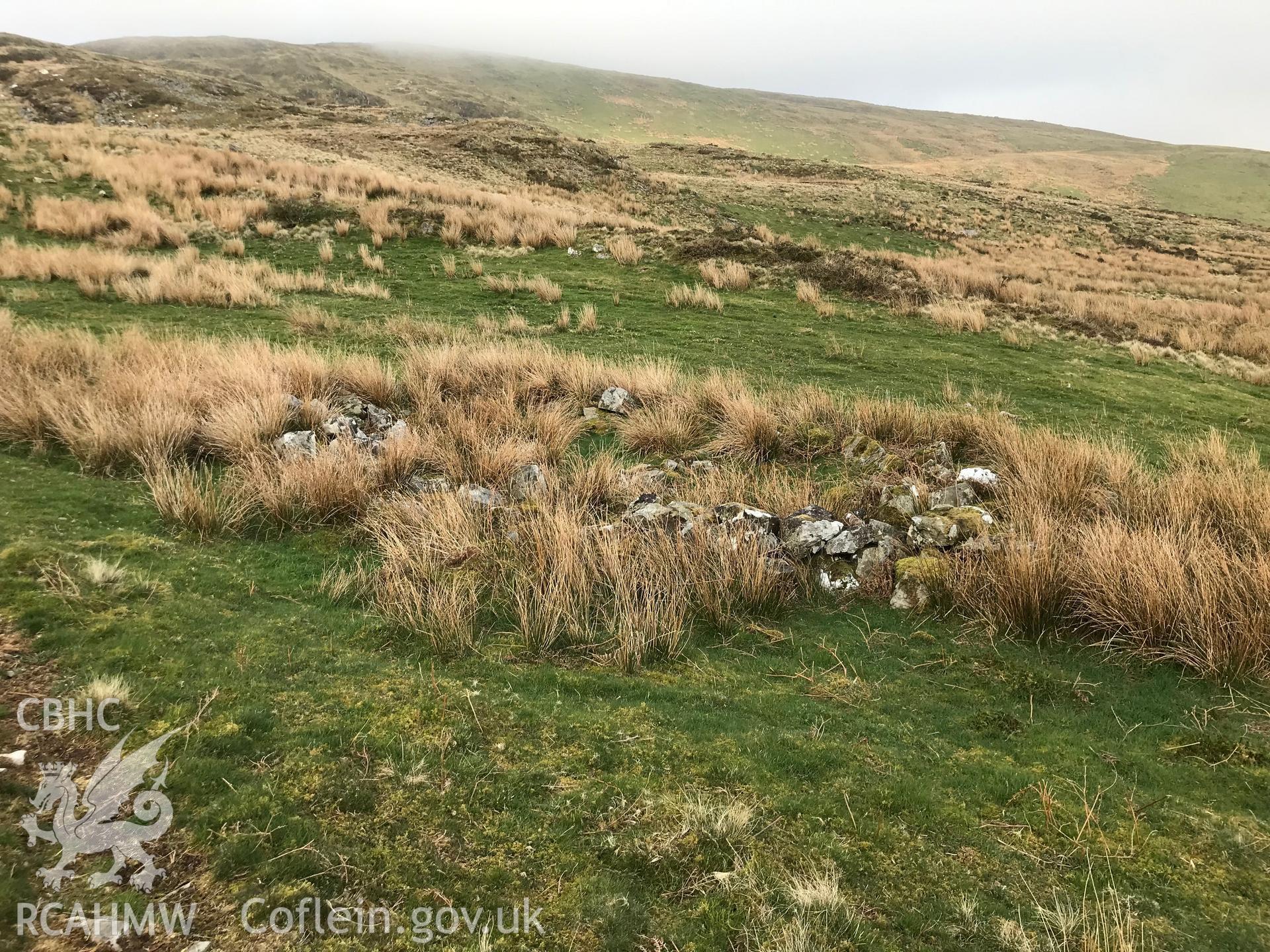 Colour photograph of Lluest Llain Wen deserted rural settlement, east of Tre'r-ddol, taken by Paul R. Davis on 28th March 2019.