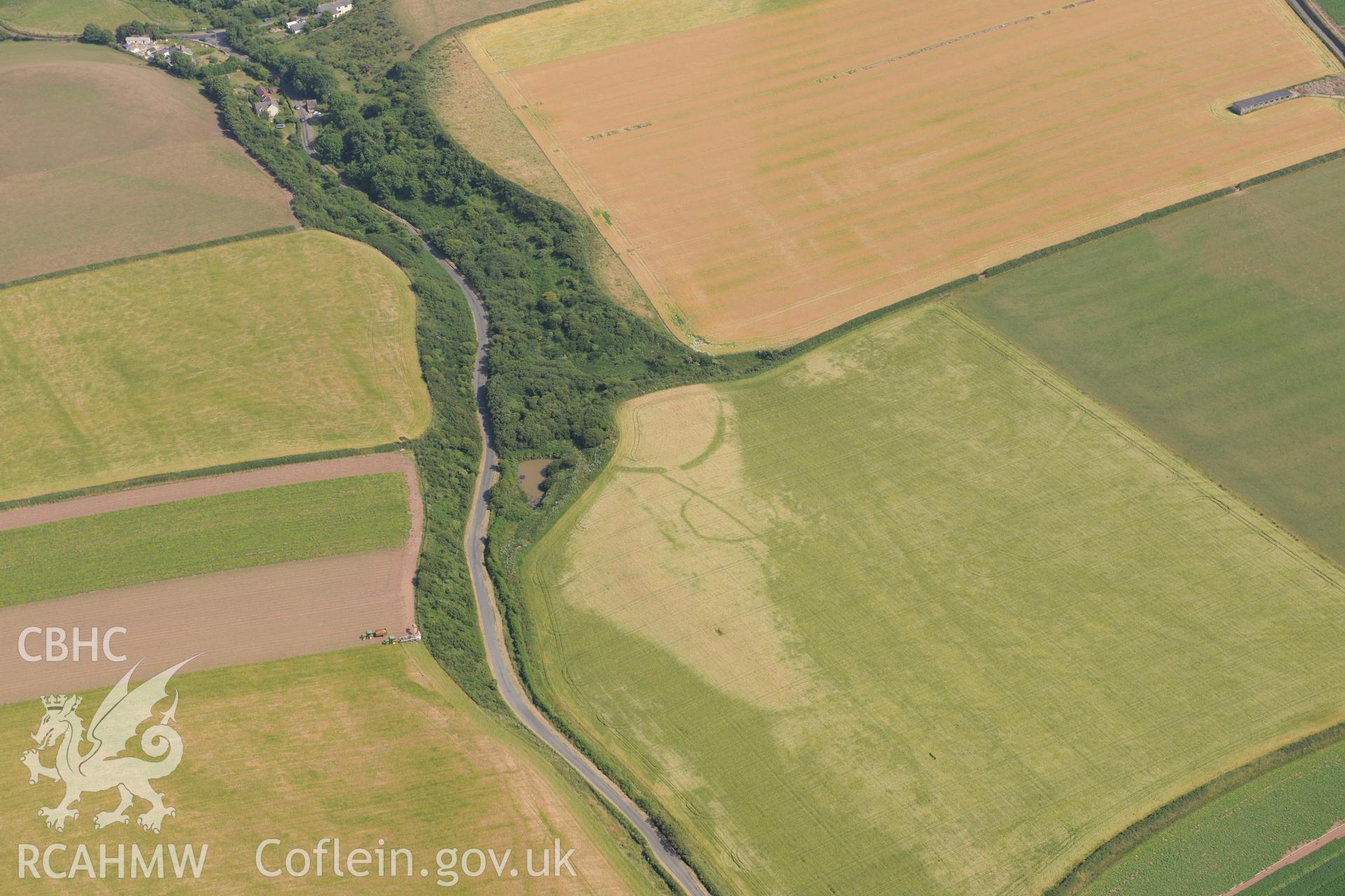 Mullock Bridge West Inland Promontory Fort and Circular Enclosure. Oblique aerial photograph taken during the Royal Commission?s programme of archaeological aerial reconnaissance by Toby Driver on 16th July 2013.