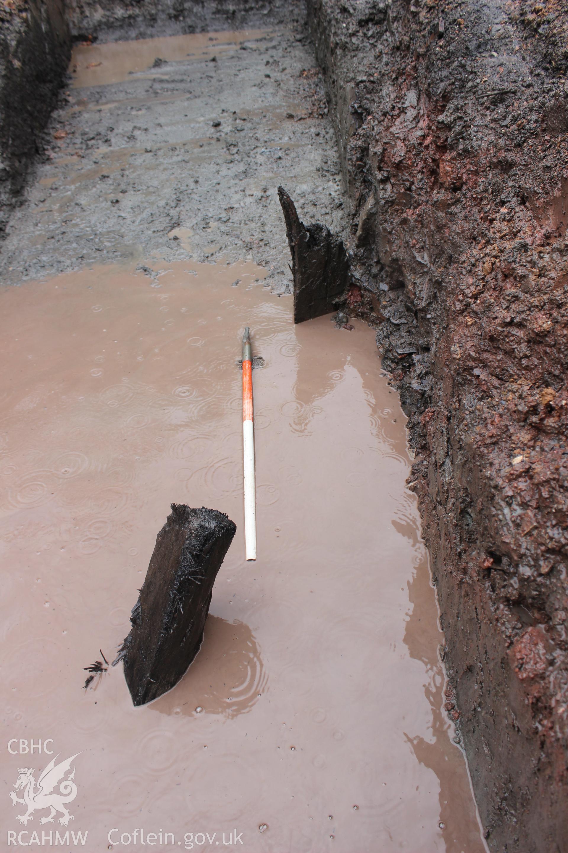 Plan shot of timbers, viewed from the west. Photographed as part of an Archaeological Evaluation of The Bridge Inn, Chepstow, carried out by Archaeology Wales, 2015.